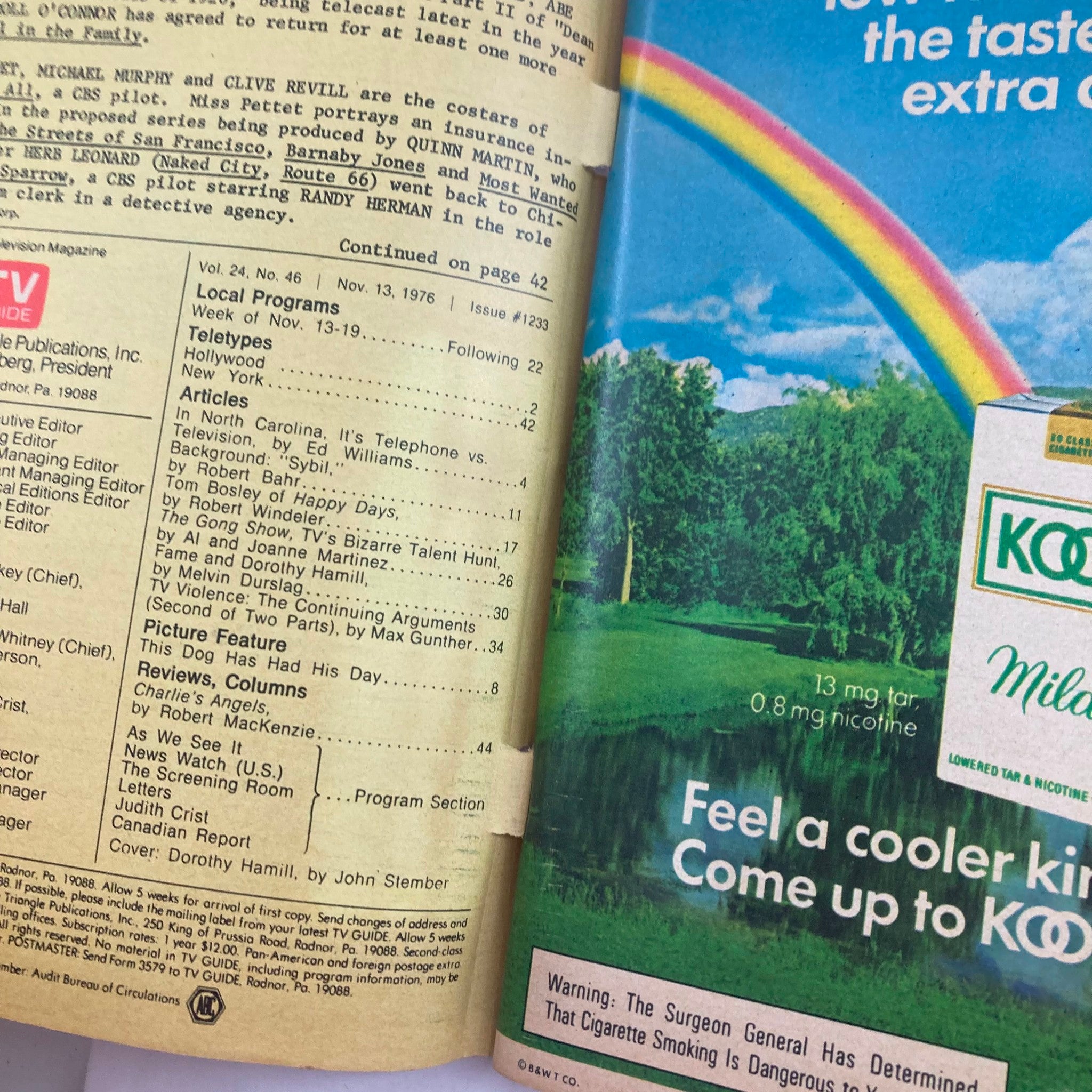 Inside pages of TV Guide Magazine November 13 1976 #1233, listing local programs and articles including features on Dorothy Hamill.