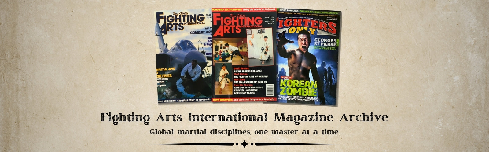 Fighting Arts International