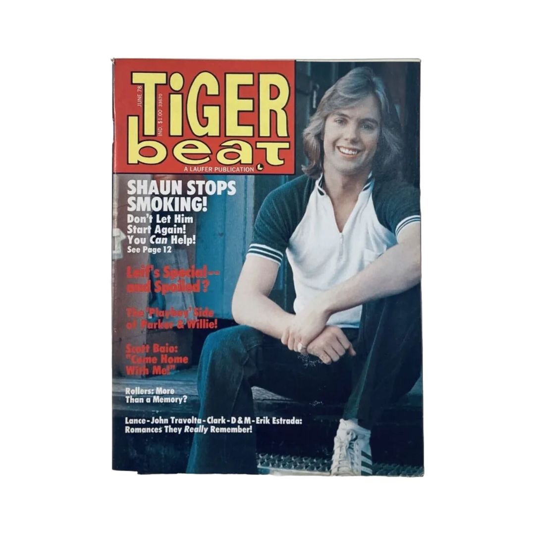 Tiger Beat Magazine