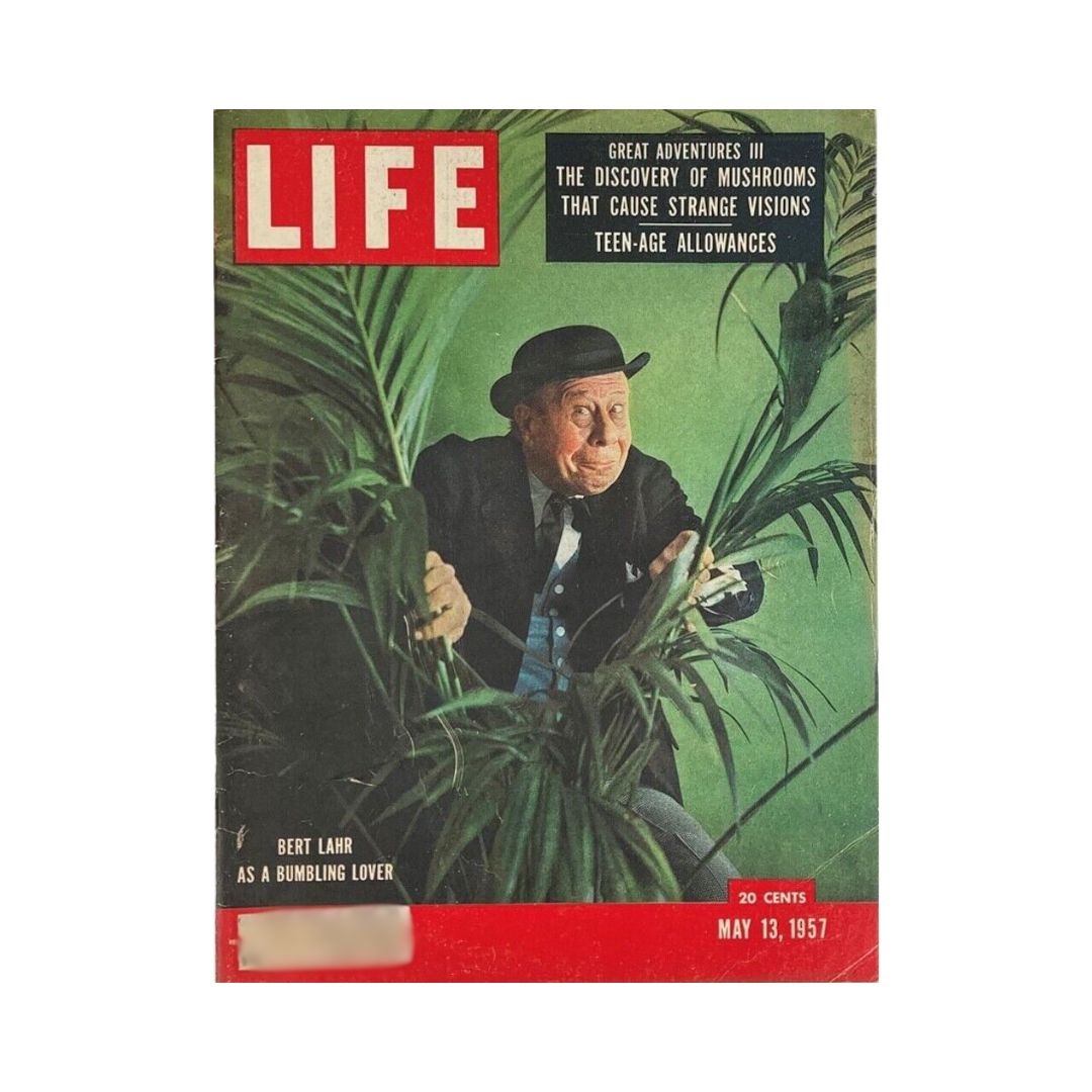 Life Magazine