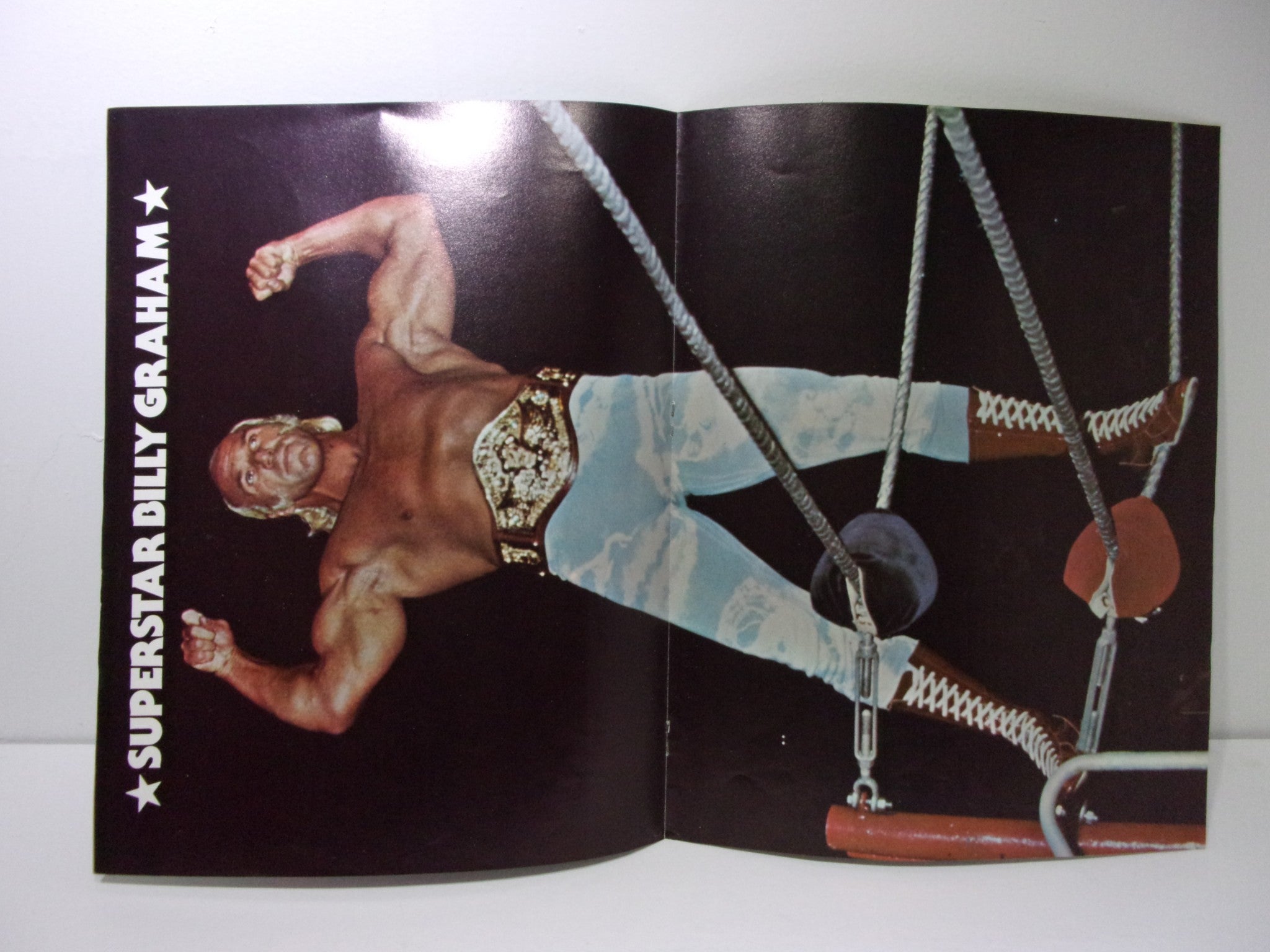 WWWF Wrestling Action Vol. 1 No. 1 First Edition Billy Graham RARE Magazine