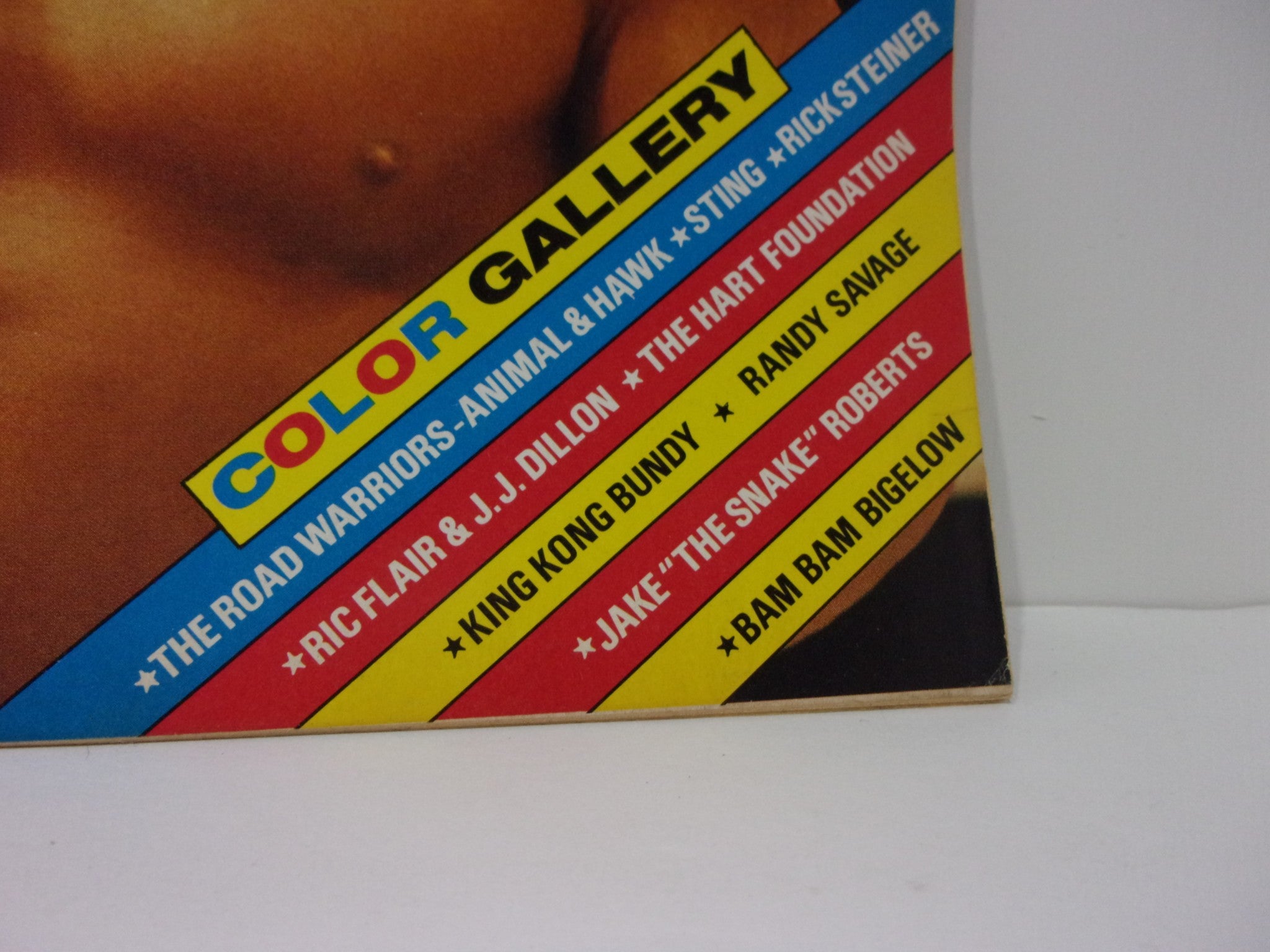 Color gallery section of Wrestling World Magazine: April 1988, listing popular wrestlers like Ric Flair, Randy Savage, and The Road Warriors.