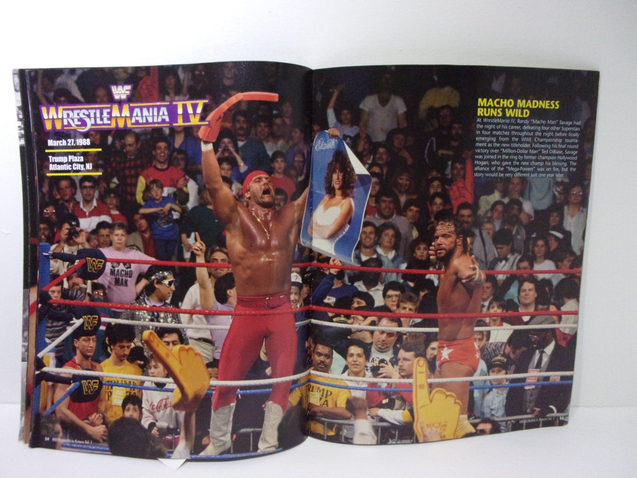 WWE Wrestle Mania: The Ultimate Photo Collection Volume 1