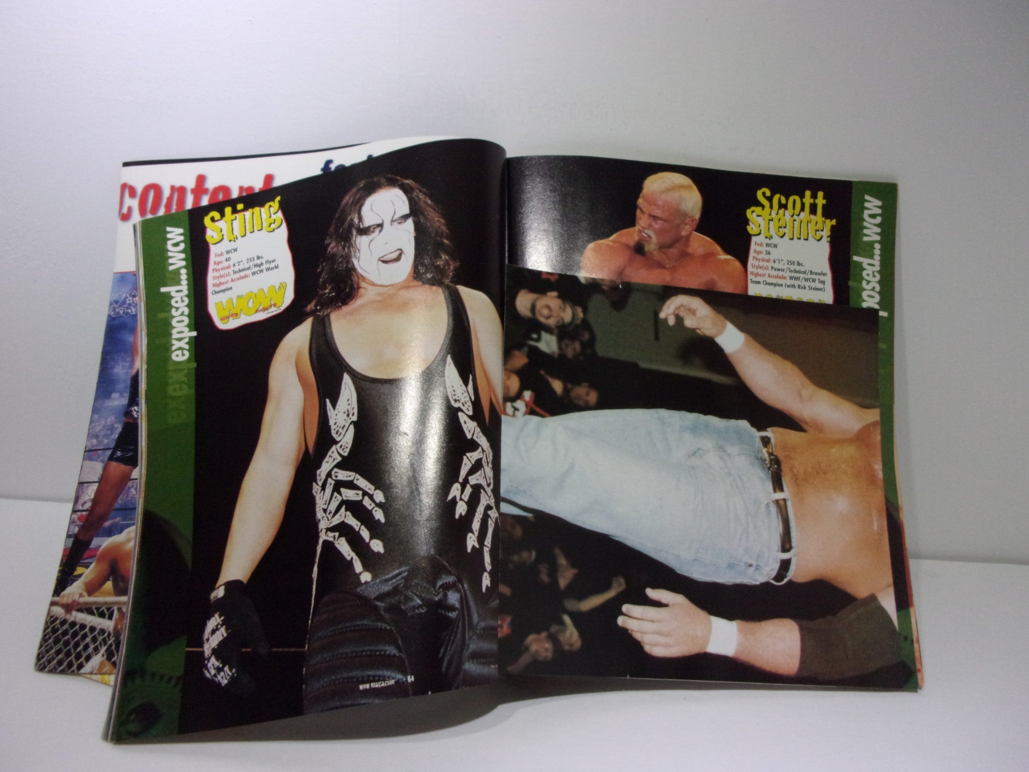 Interior spread of Wow Magazine: The Best of WCW - ECW - WWF June 1999 Vol. 1 Issue 2 showcasing Sting and Scott Steiner in action during a wrestling match.