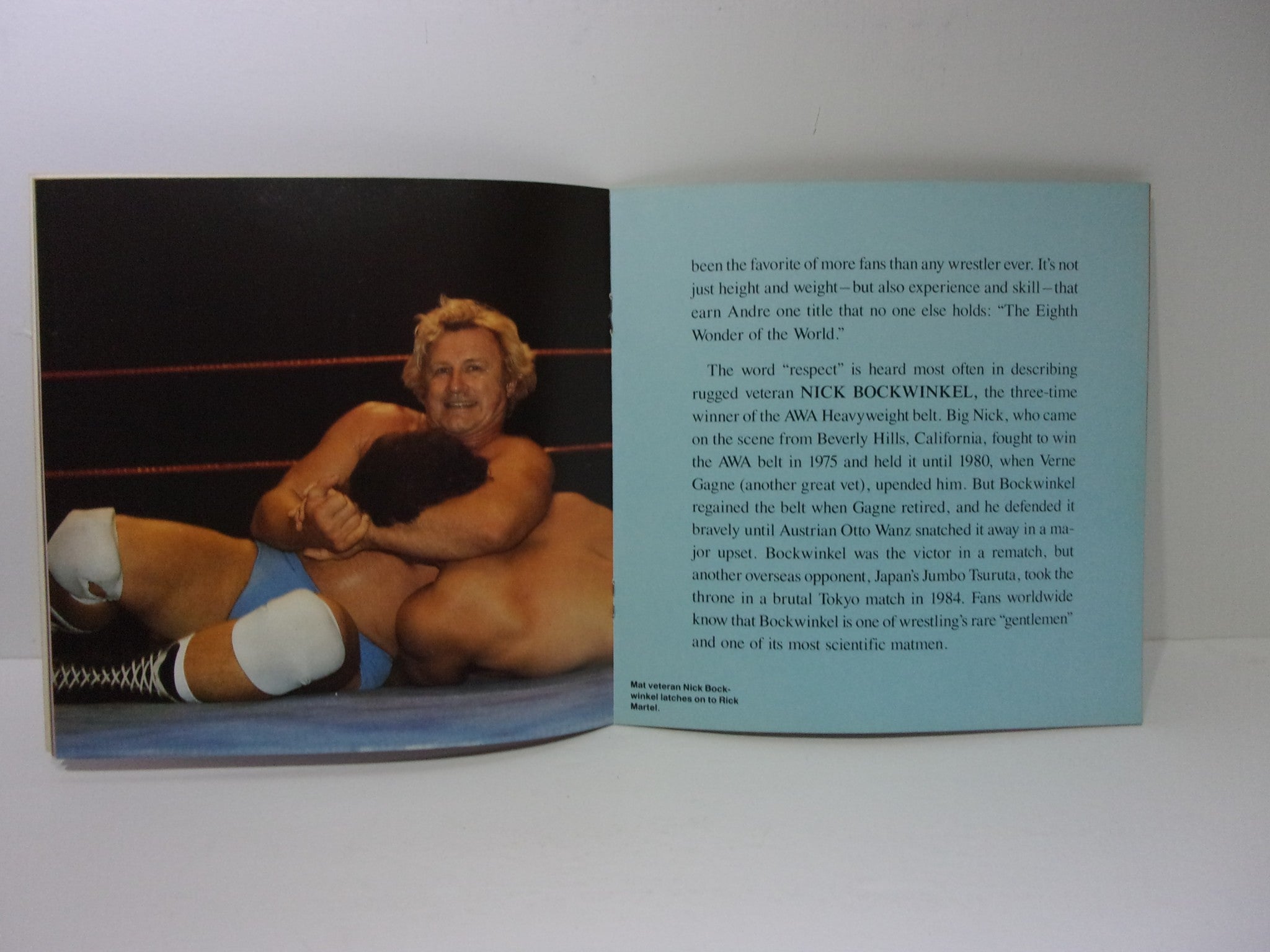 Ringside Wrestling Book: The Superstars - Hulk Hogan - Ric Flair - Andre