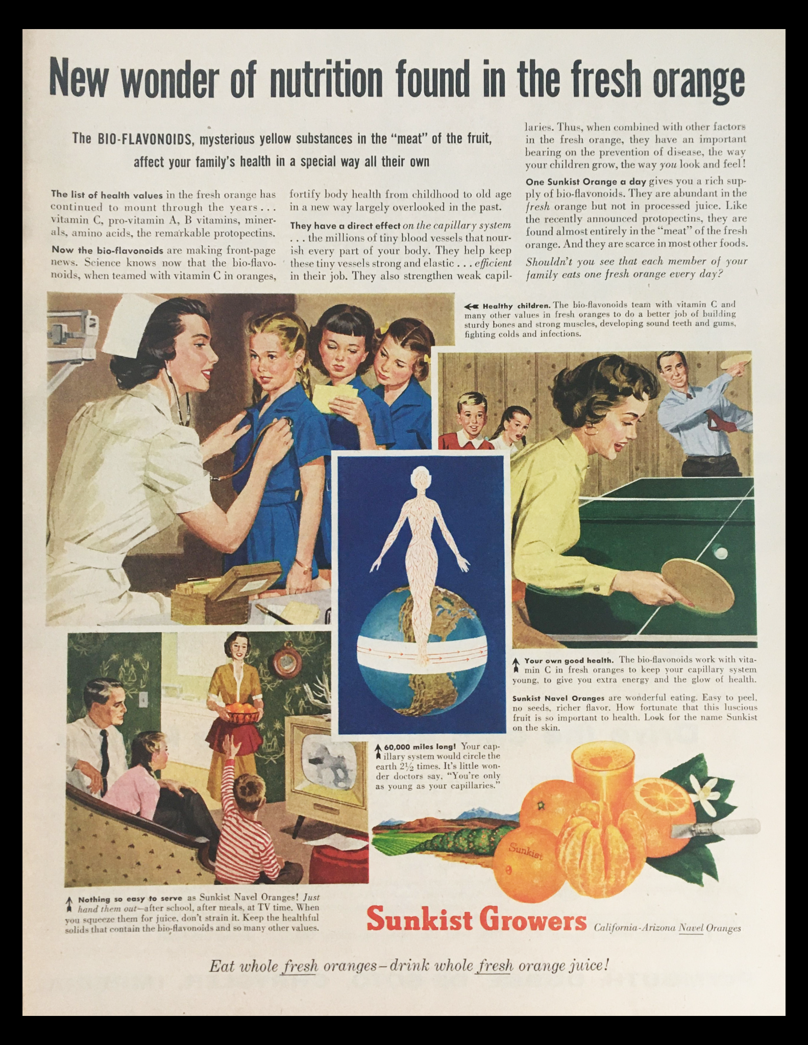 1956 Sunkist Growers Navel Oranges Vintage Print Ad