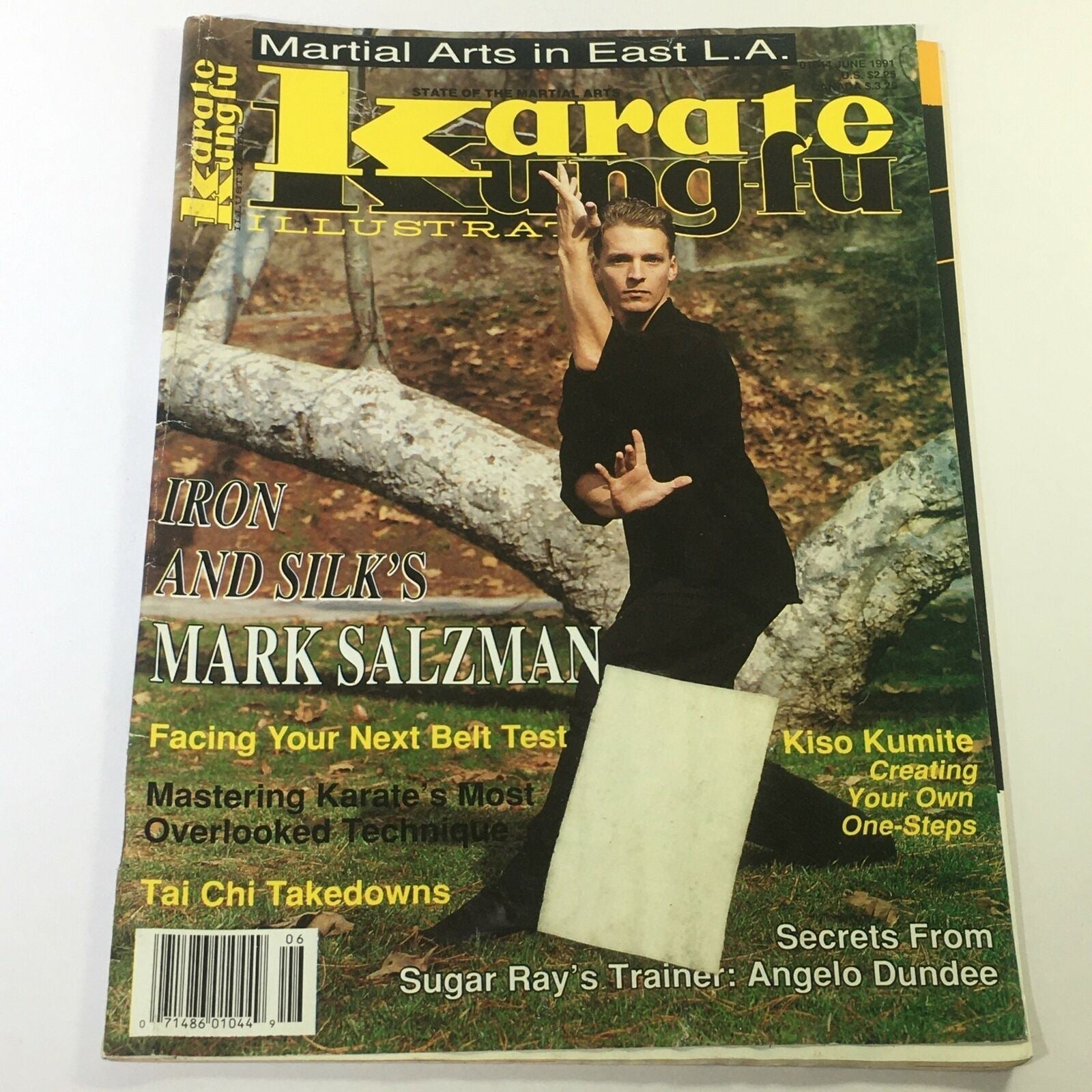 Karate Kung Fu Illustrated Magazine June 1991 - Iron & Silks of Mark Salzman