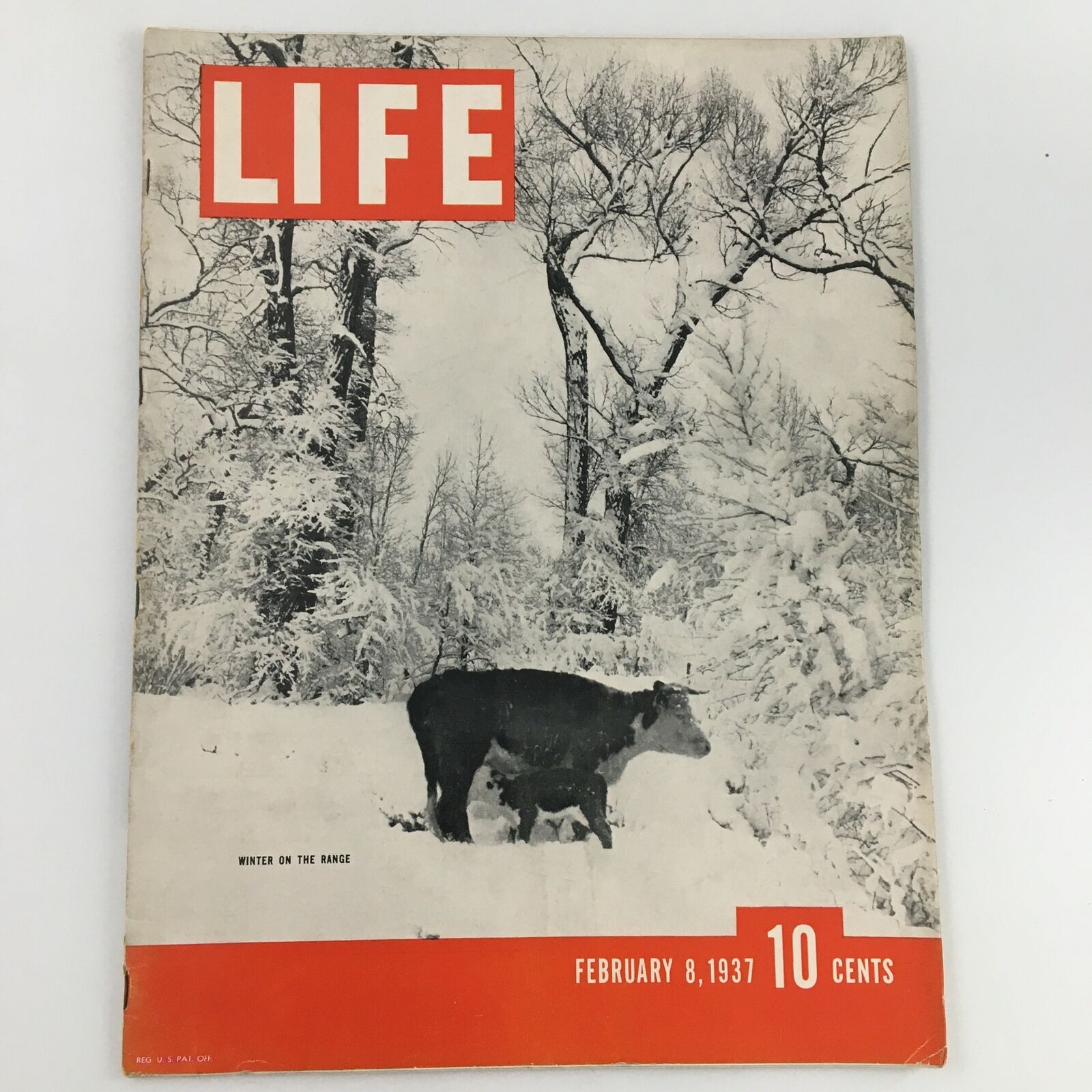 VTG Life Magazine February 8 1937 Photo of A Winter On The Range, Newsstand