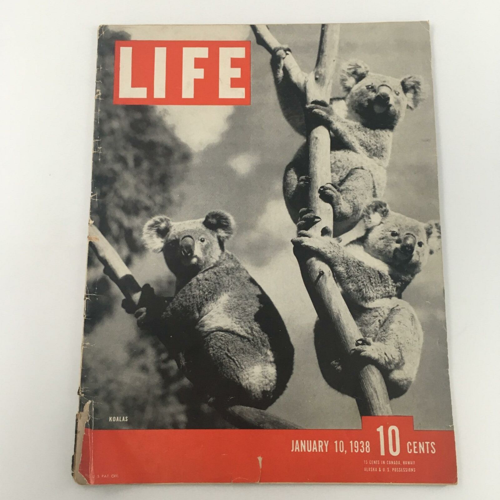 VTG Life Magazine January 10, 1938 Koalas, Panay Incident, US Gunboat Bombed