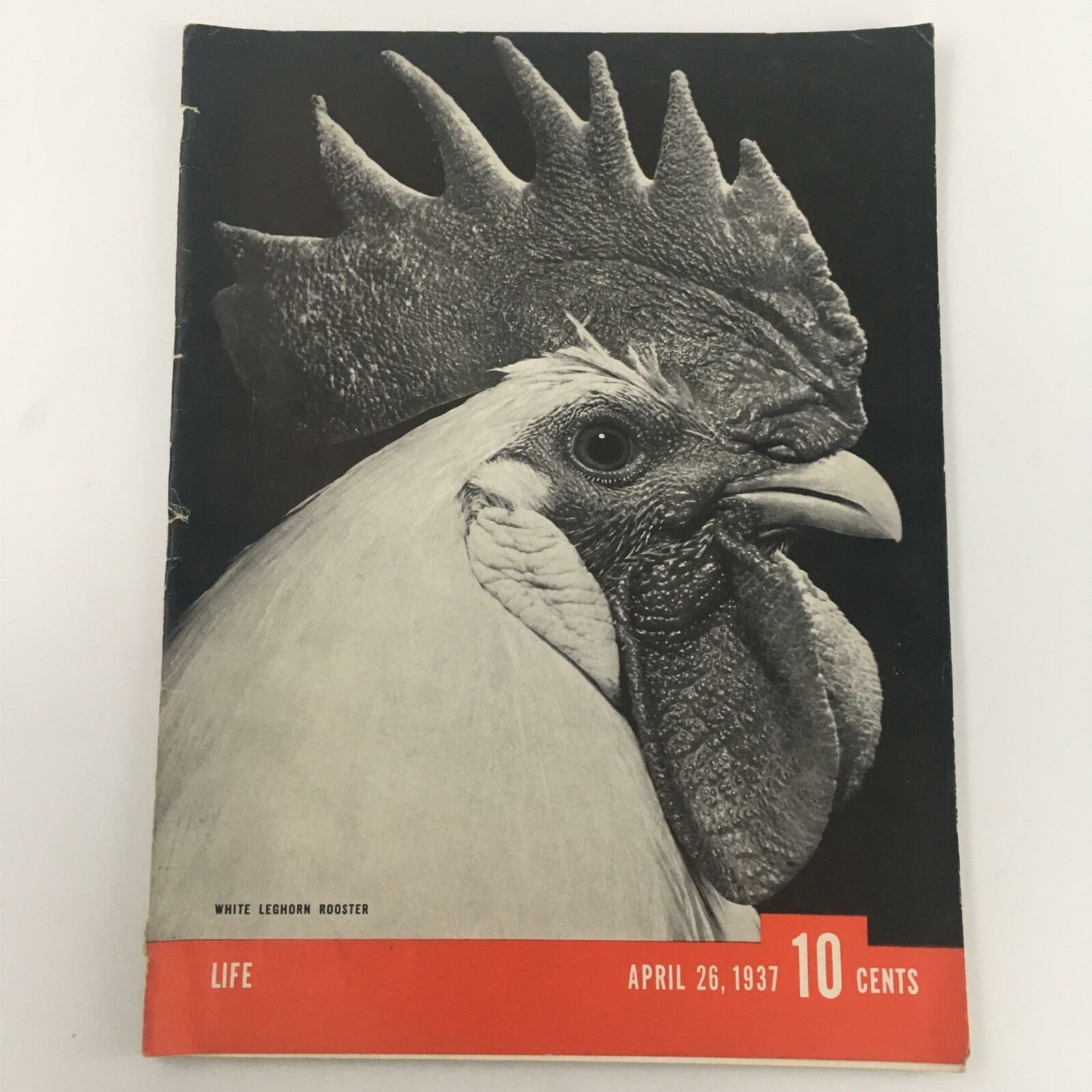 VTG Life Magazine April 26, 1937 White Leghorn Rooster Newsstand