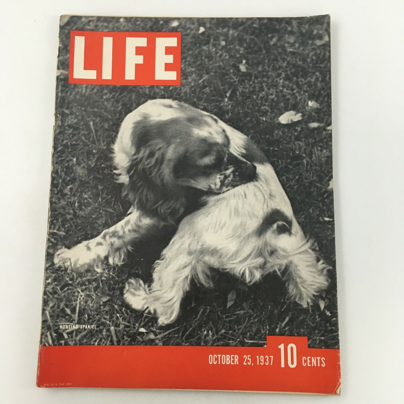 VTG Life Magazine October 25 1937 A Hunting Cocker Spaniel Feature , Newsstand