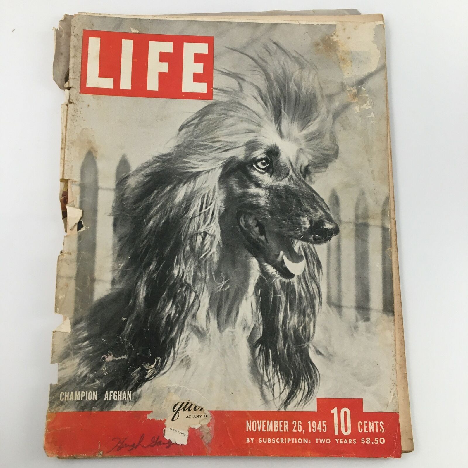 VTG Life Magazine November 26 1945 Champion Afghan Hound Newsstand