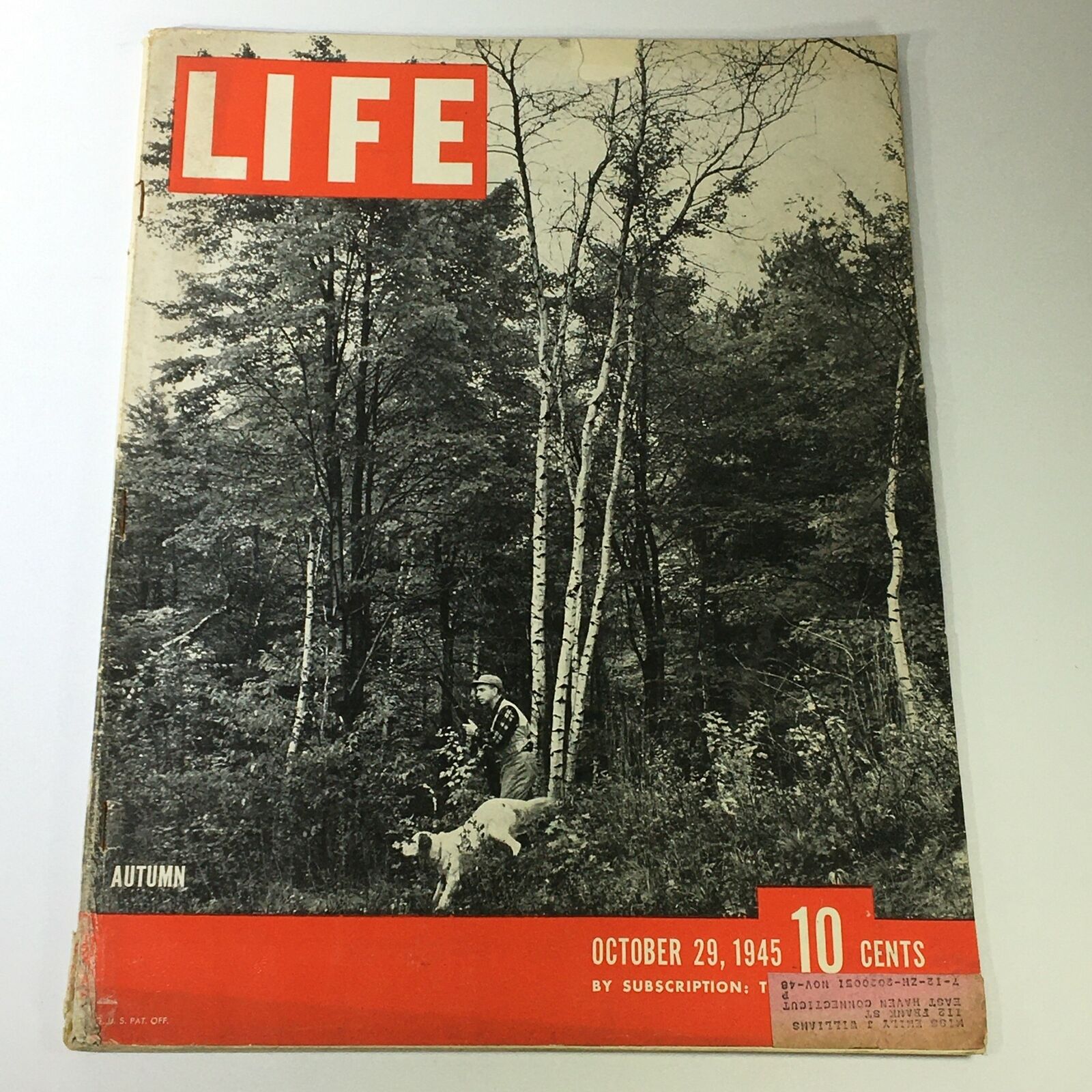 VTG Life Magazine October 29 1945 Autumn Forest Cover and Nazi War Feature