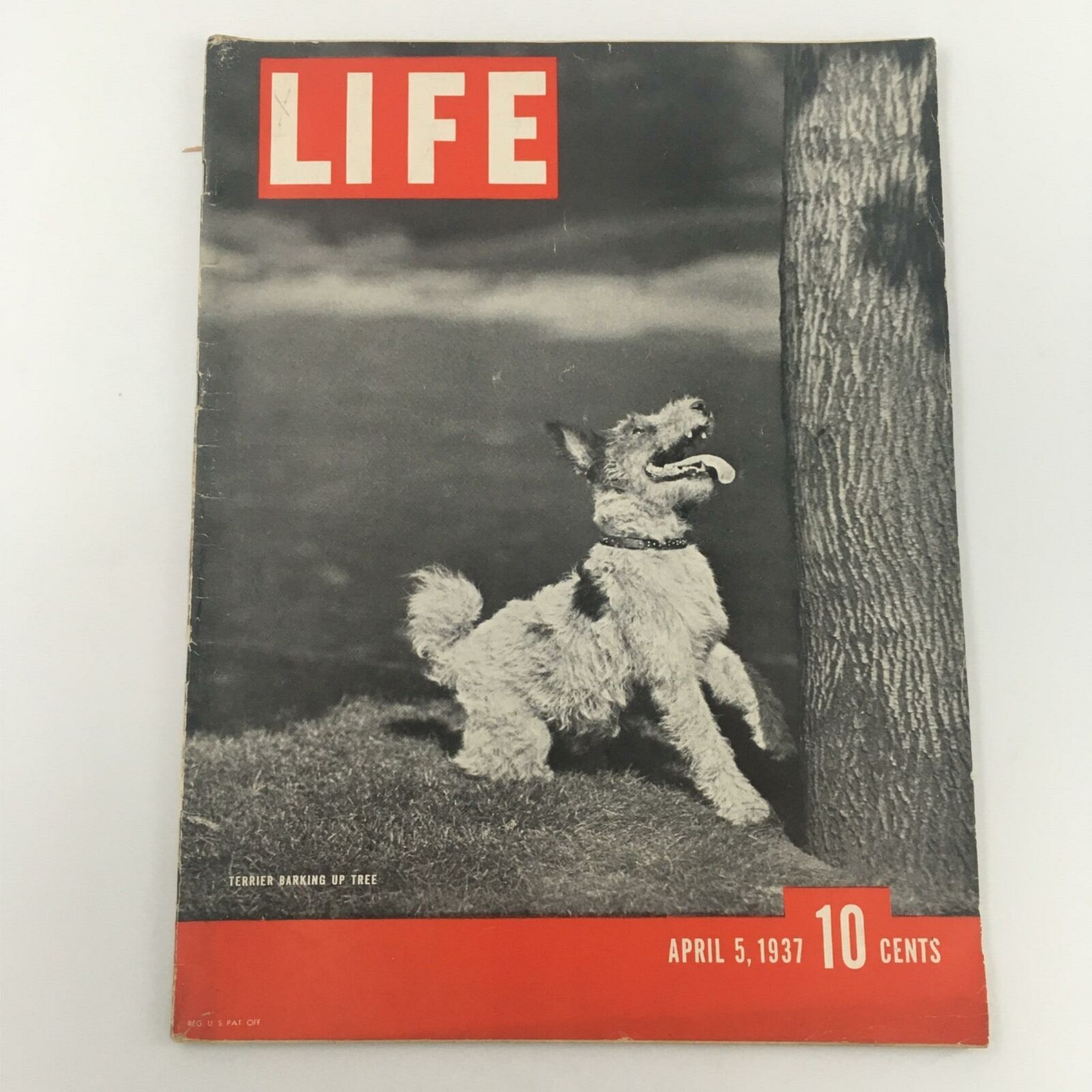 VTG Life Magazine April 5, 1937 Terrier, Florence Kaplan and William Kobrinsky