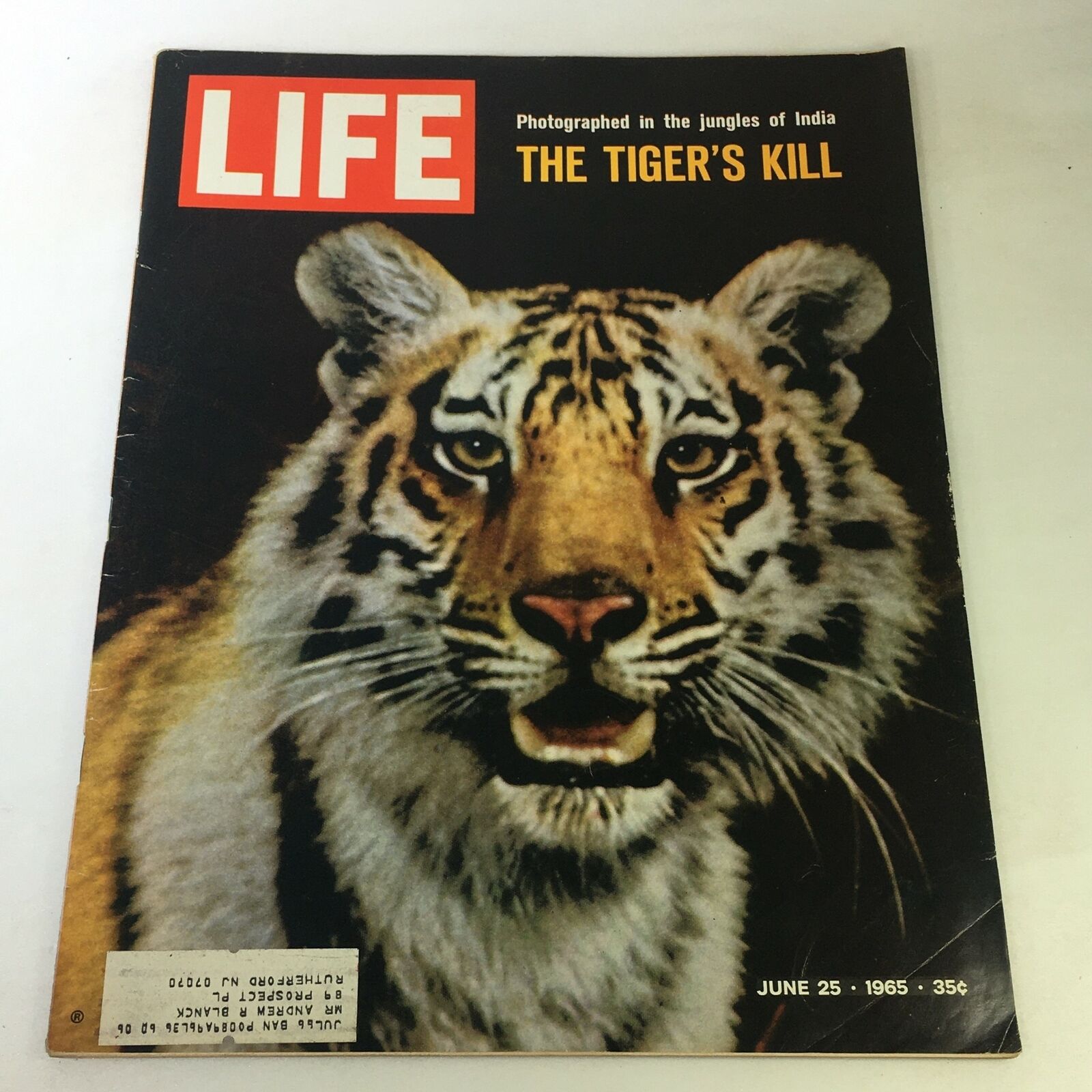 VTG Life Magazine June 25 1965 - The Tiger's Kill Photographed in India