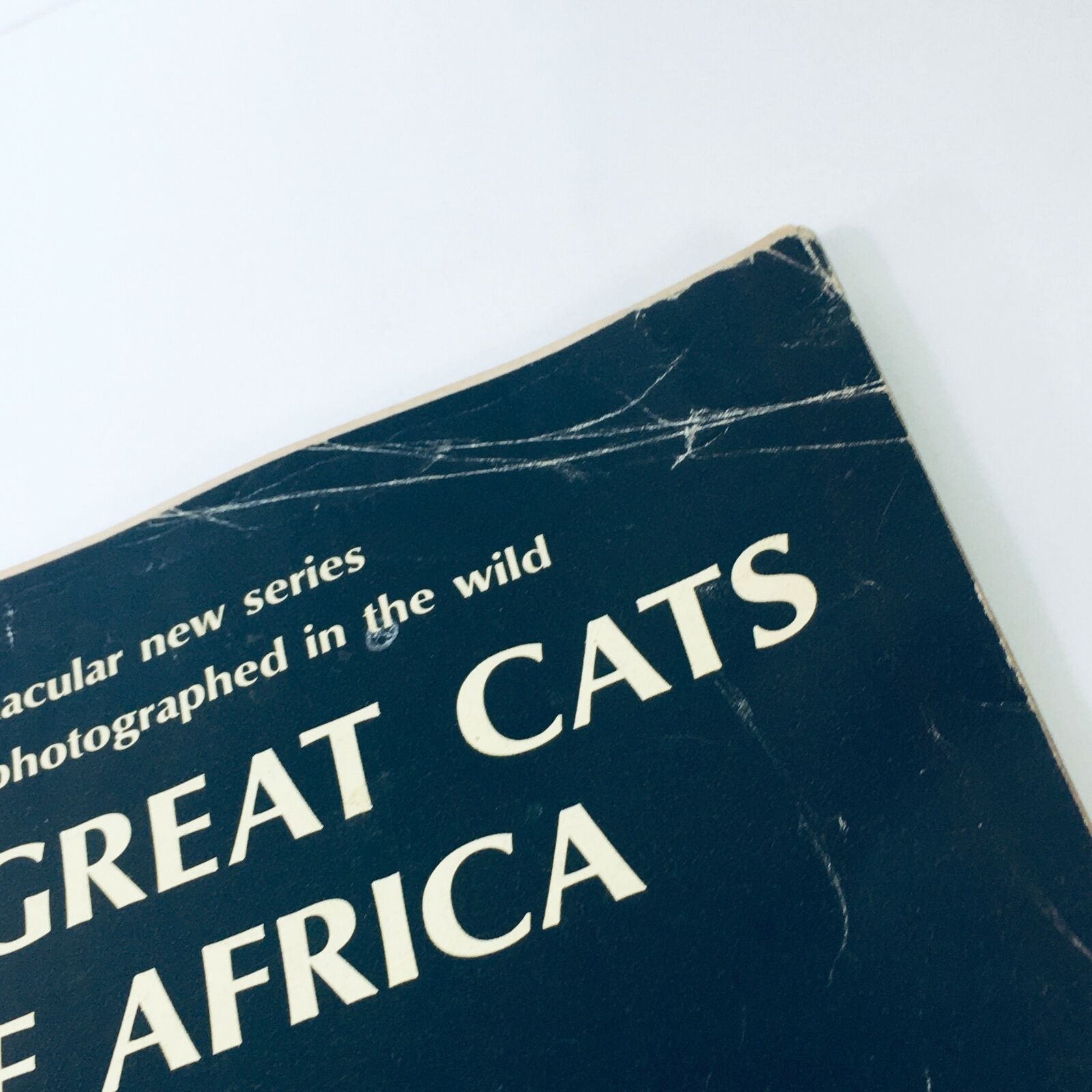 VTG Life Magazine January 6 1967 - The Great Cats of Africa, The Black Leopard