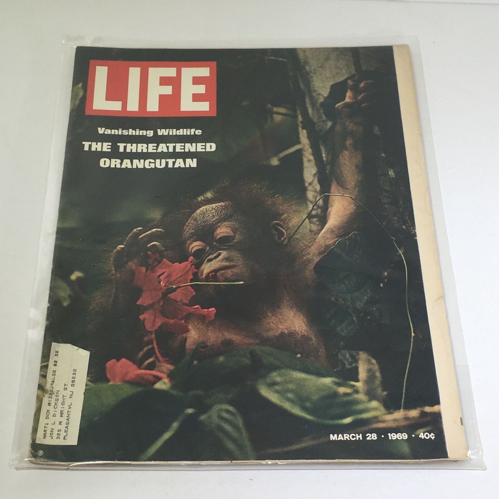 VTG Life Magazine: March 28 1969 - The Threatened Orangutan & Vanishing Wildlife