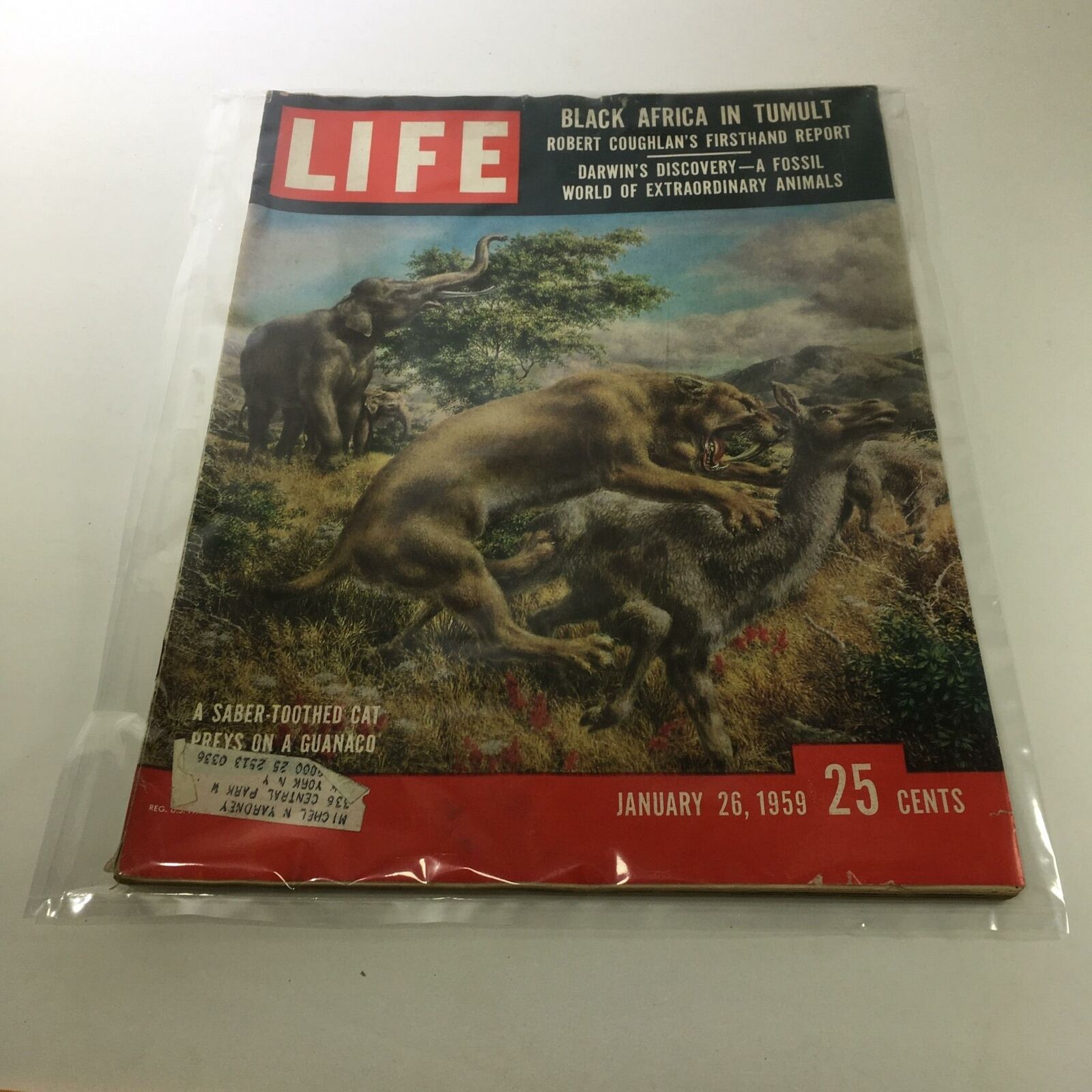 Life Magazine: January 26 1959 - A Fossil World of Extraordinary