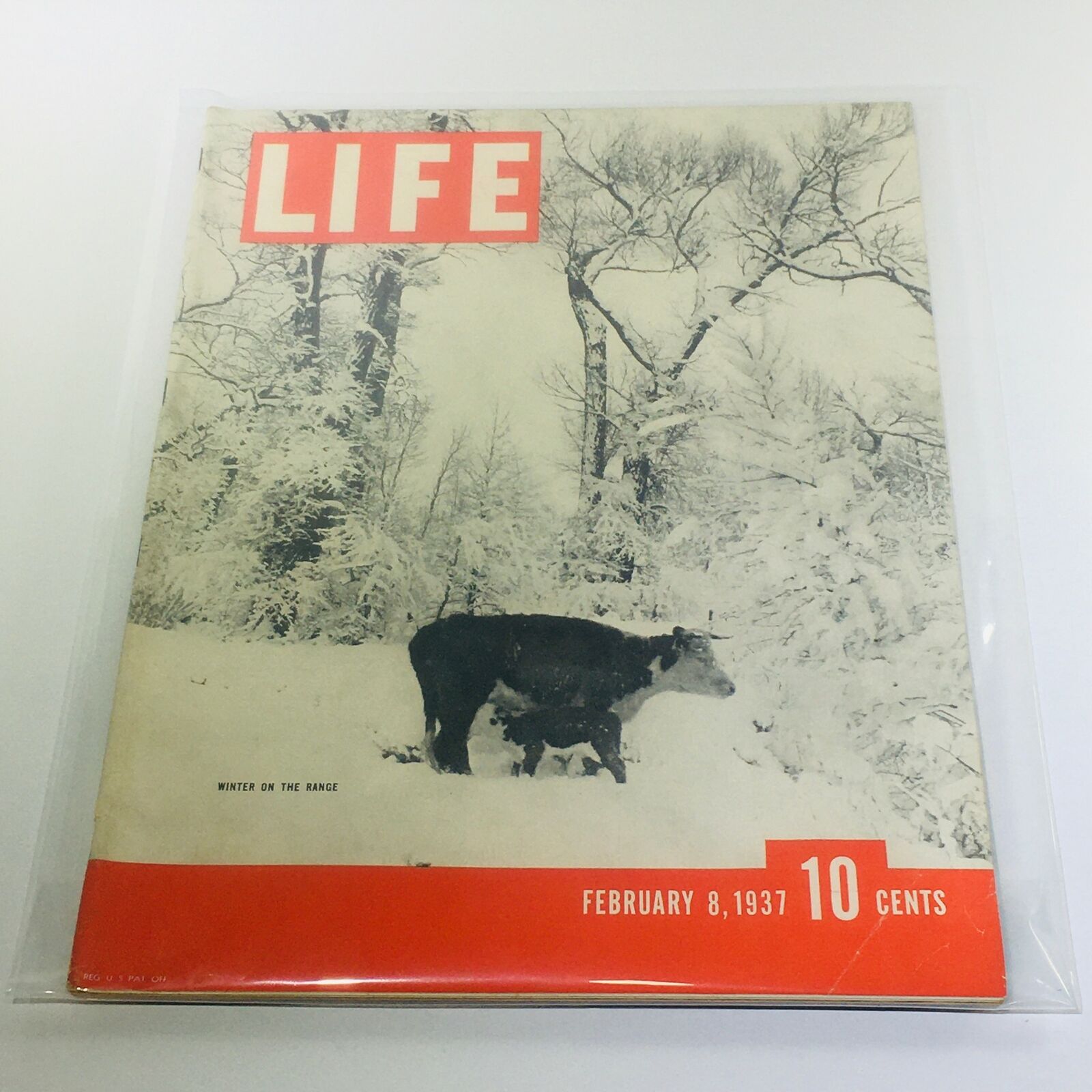 Vintage Life Magazine: February 8 1937 - Winter On The Range