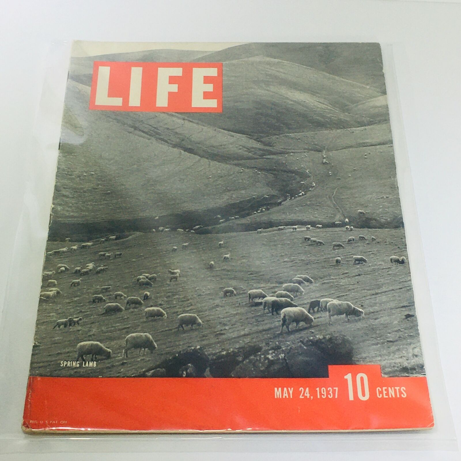 Vintage Life Magazine: Spring Lamb - May 24 1937