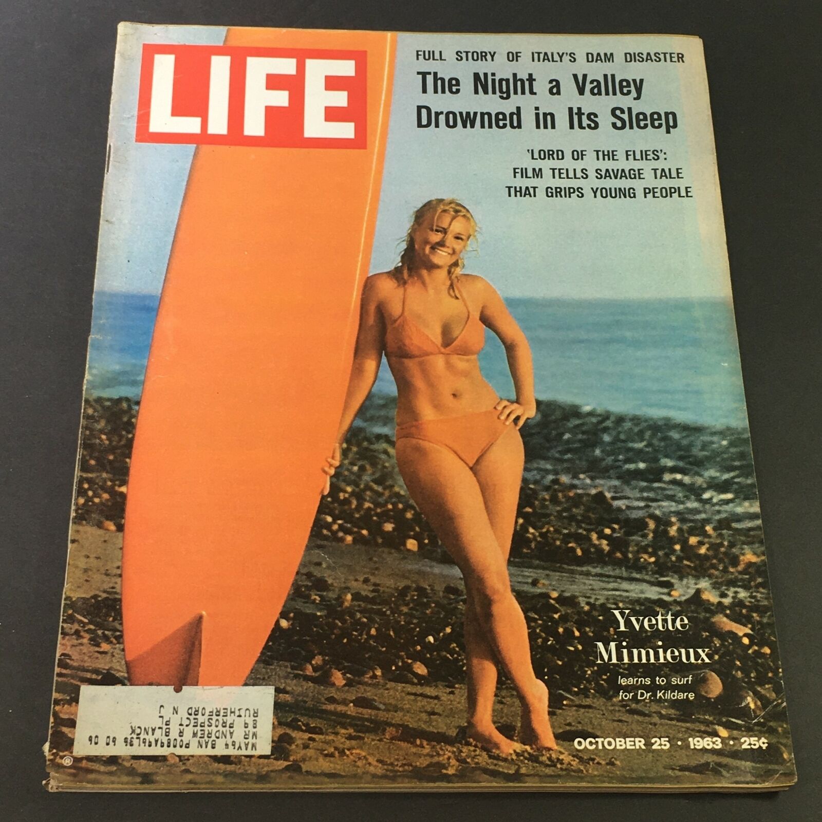 VTG Life Magazine October 25 1963 - Yvette Mimieux / Italy Dam Disaster Story