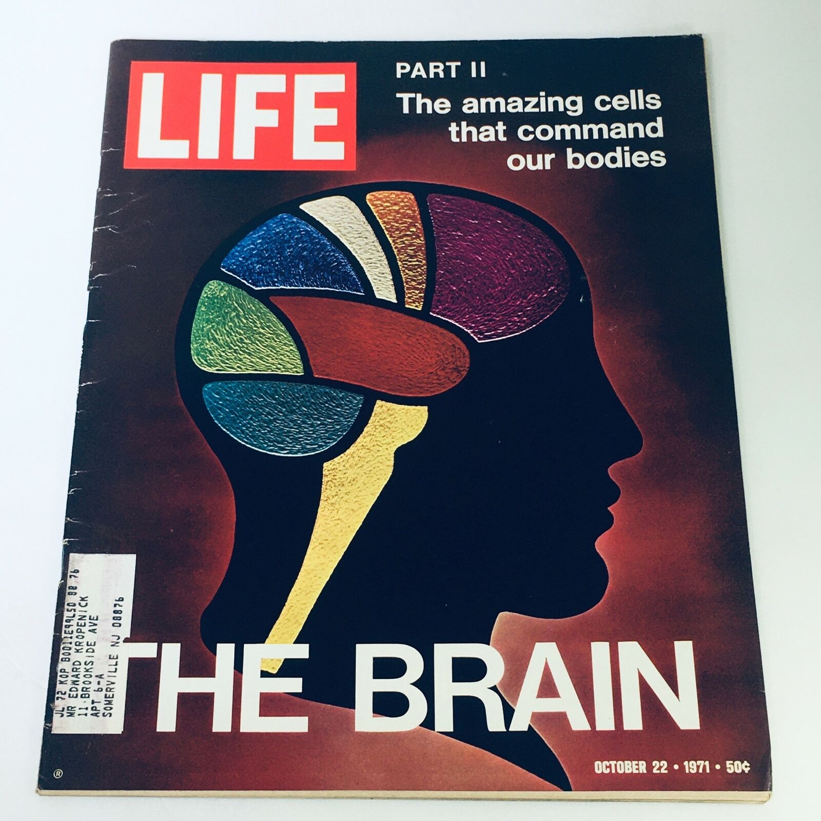 VTG Life Magazine December 22 1971 - The Brain and The Amazing Cells Part II