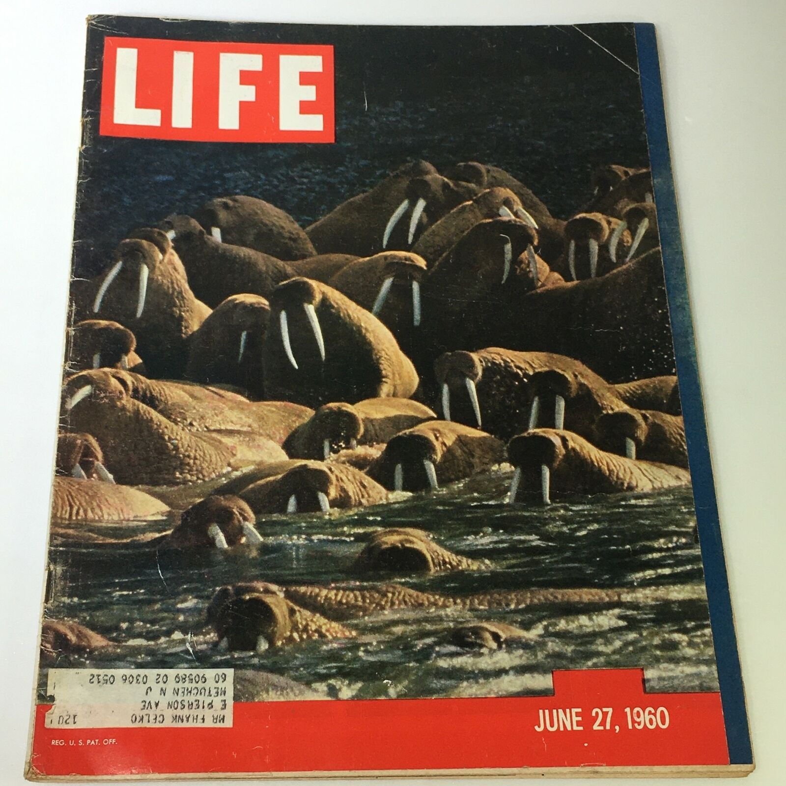 VTG Life Magazine June 27 1960 - Bearing The Alaskan Walrus / Arnold Palmer