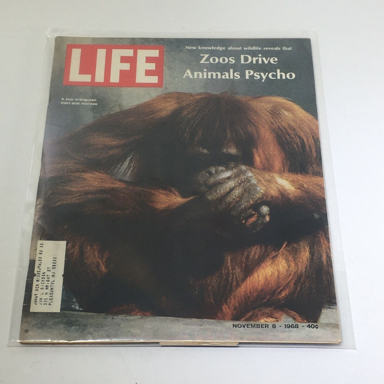 VTG Life Magazine: November 8 1968 - Zoos Drive Animals Psycho/Orangutan Cover