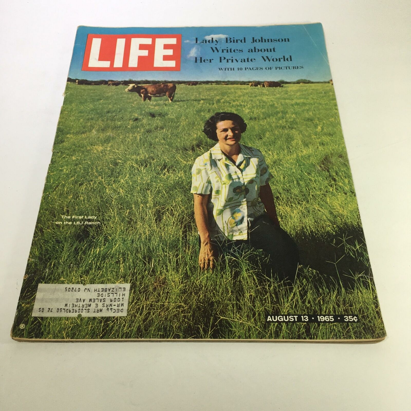 Cover of Life Magazine featuring Lady Bird Johnson from August 13, 1965, with the title 'Lady Bird Johnson Writes about Her Private World'. The cover shows Lady Bird Johnson standing in a grassy field with cows in the background, highlighting her role as the First Lady during a historic period in America.