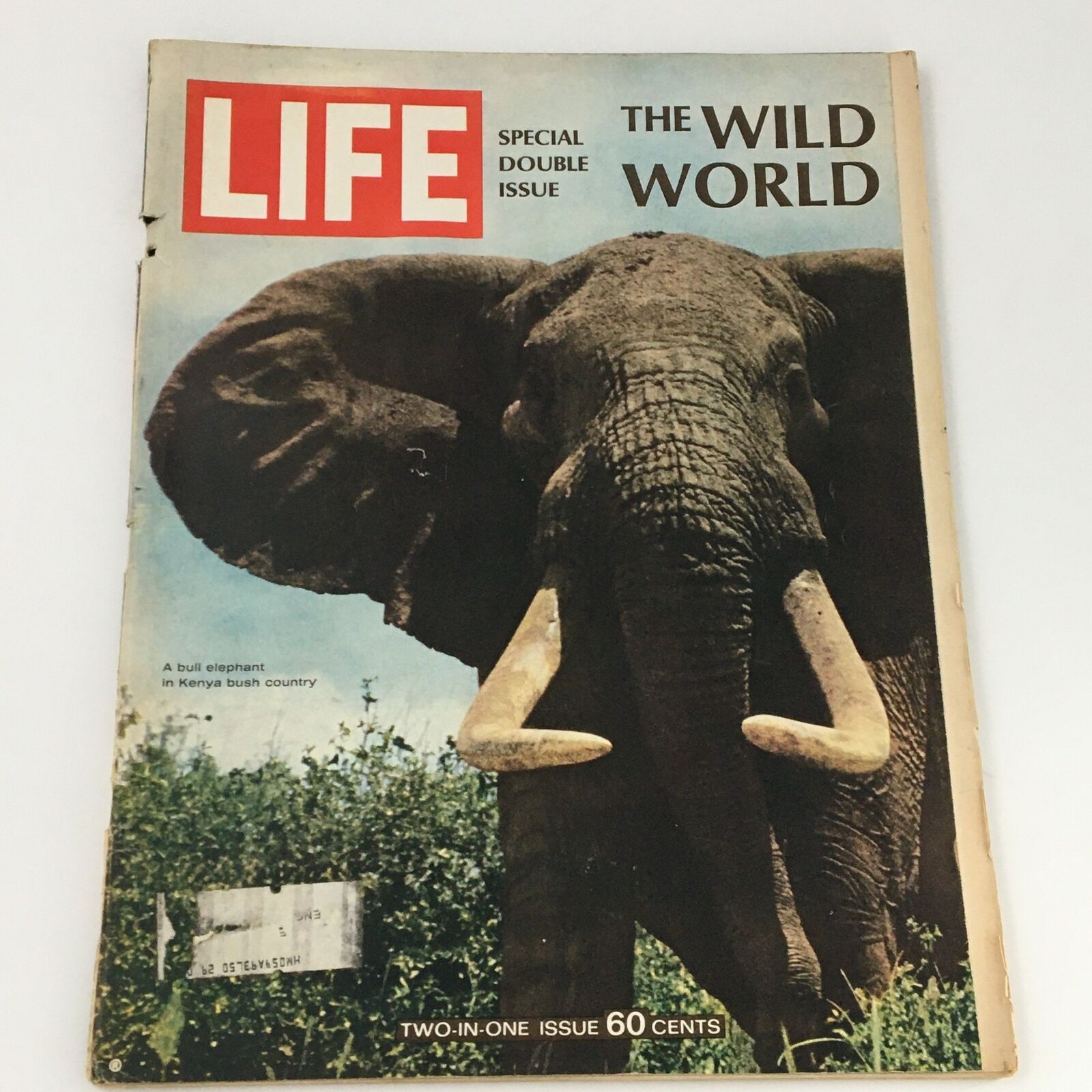 VTG Life Magazine December 22 1967 Bull Elephant in Kenya Photo Cover Feature