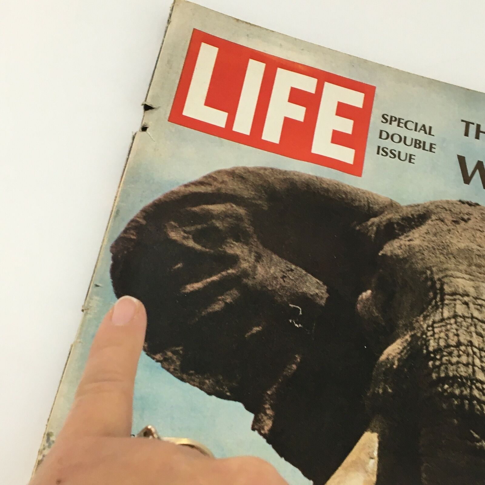 VTG Life Magazine December 22 1967 Bull Elephant in Kenya Photo Cover Feature