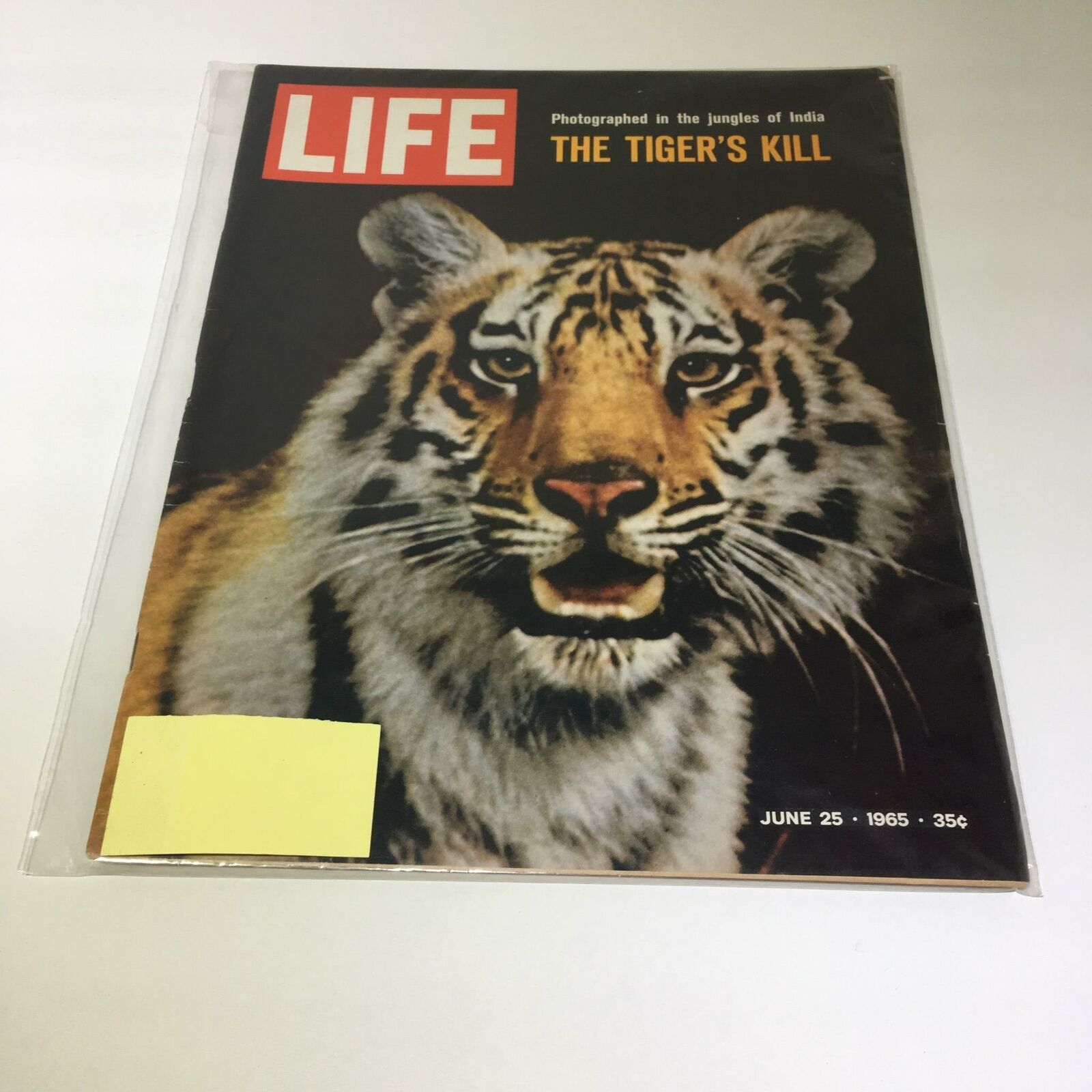 VTG Life Magazine June 25 1965 - The Tiger's Kill In The Jungle Of India