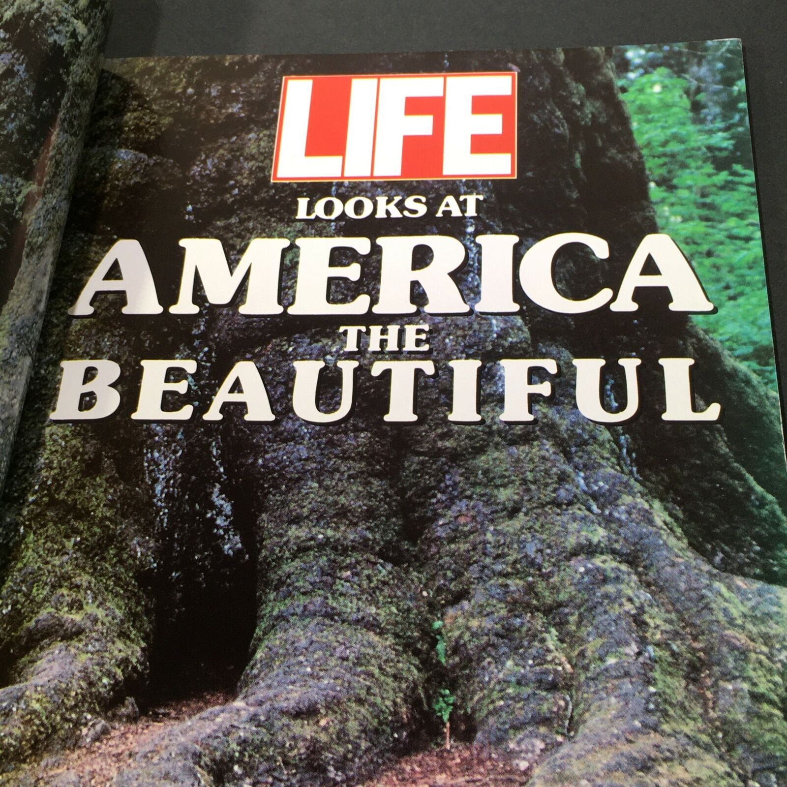 VTG Life Magazine 1990 The Time Inc. Company - Looks At America The Beautiful