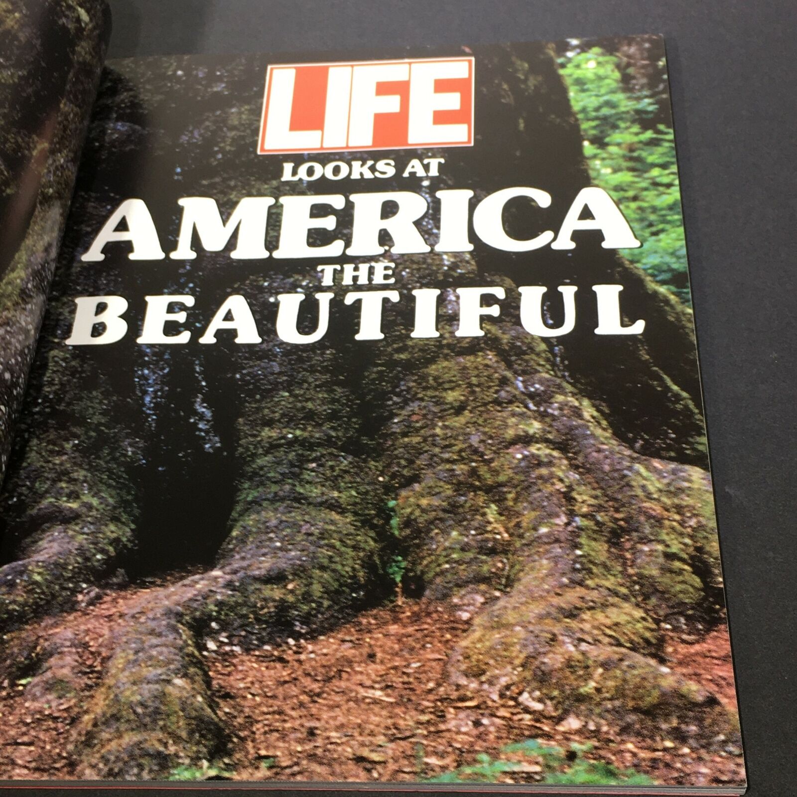 VTG Life 1990 The Time Inc. Magazine Company - Looks At America The Beautiful