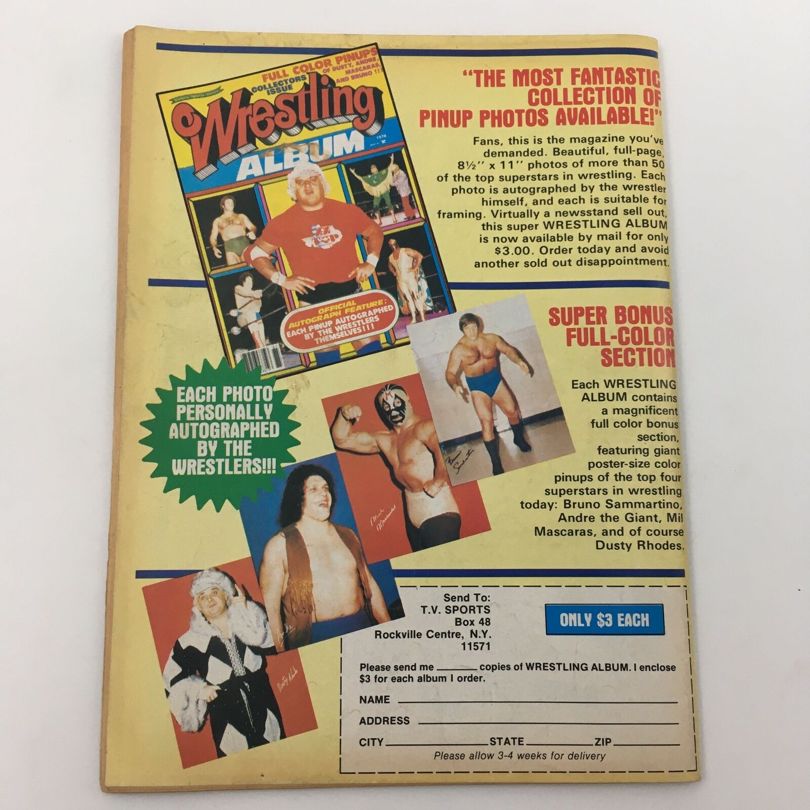 WWF The Wrestler Magazine June 1980 The Jim Brunzell and Ray Stevens Feud