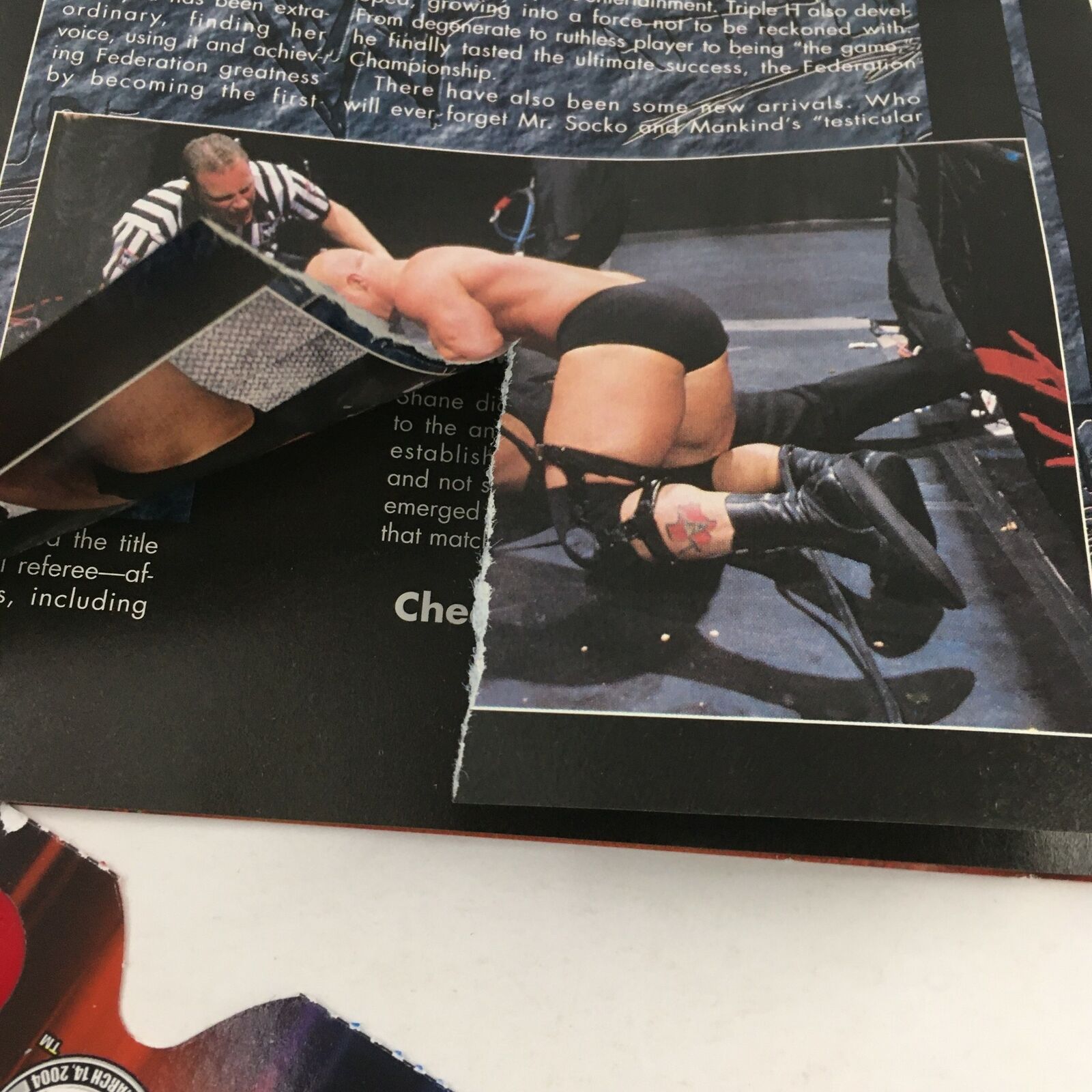 WWF Magazine February 2000 Best of '99 in 3-D, Includes 3D Glasses No Label