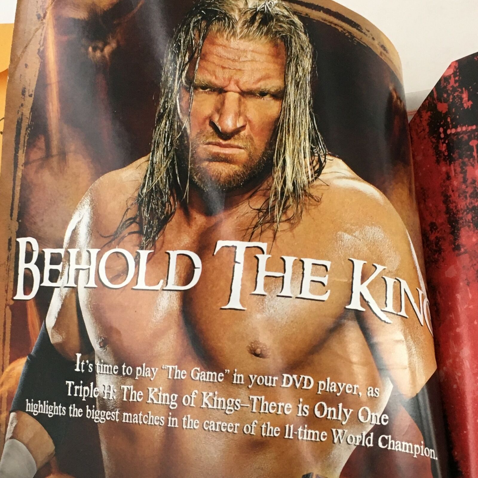 WWE Magazine 2008 The 300 Greatest WWE Stories Ever Told The Undertaker No Label