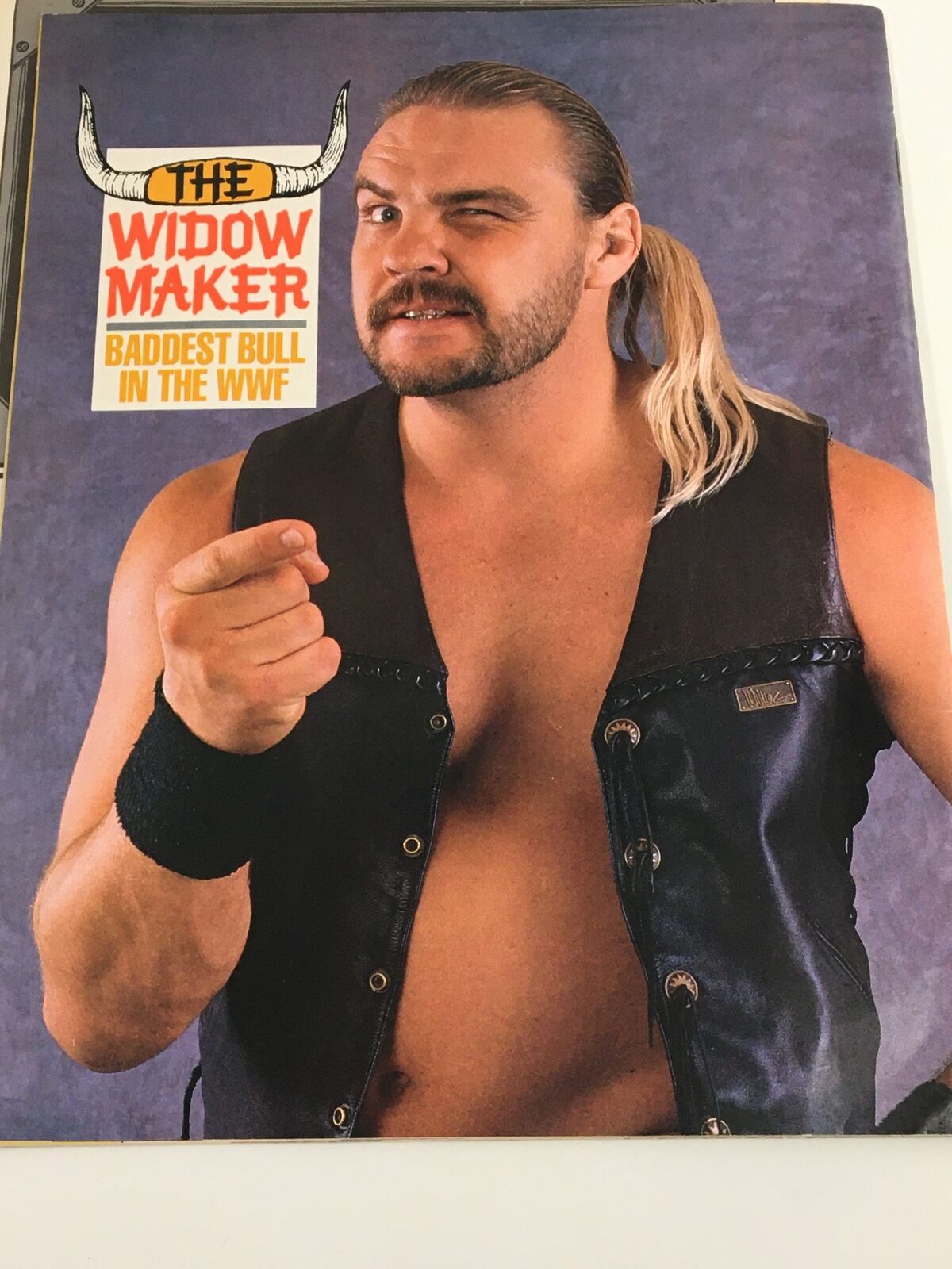 VTG WWF Program 1989 Vol 175 The Bushwhackers & Widow Maker No Label