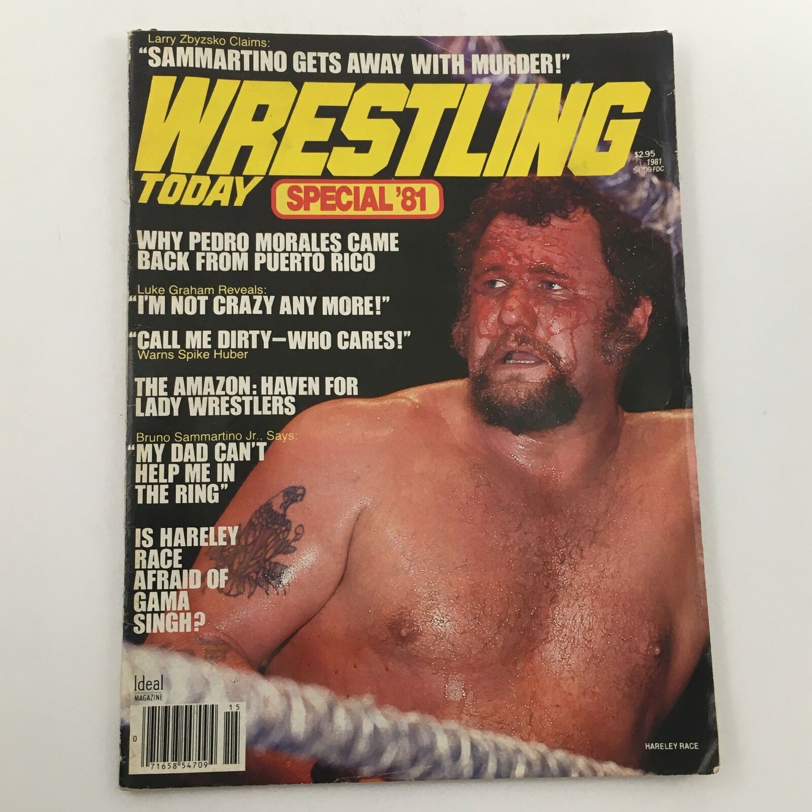 Wrestling Today Magazine 1981 Harley Race Cover and Luke Graham Feature