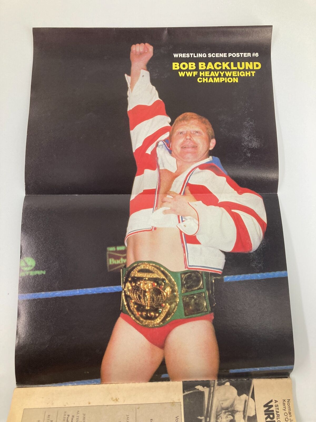 VTG Wrestling Scene Magazine May 1983 Butch Reed vs Ric Flair w Poster No Label