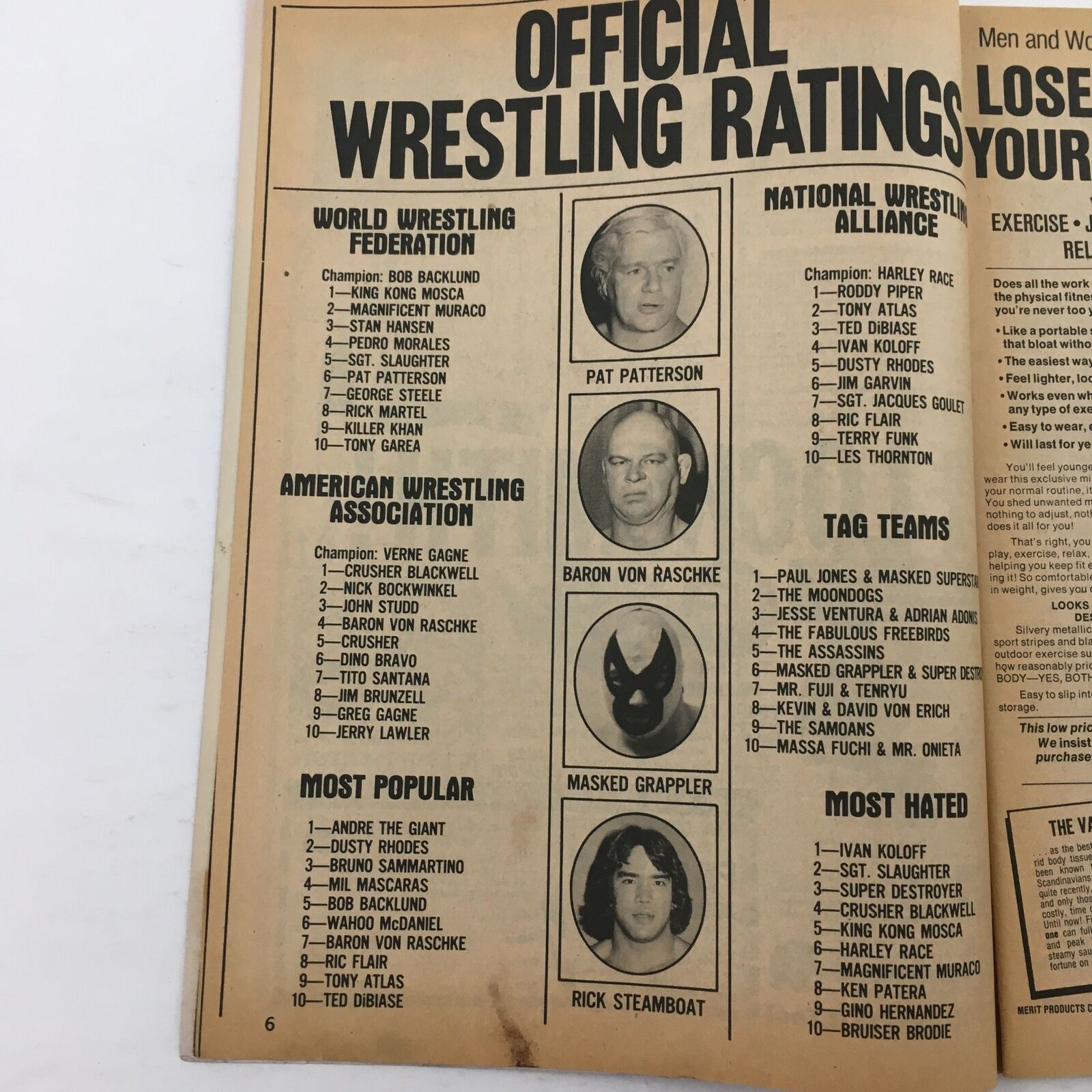 Wrestling Superstars Magazine Fall 1981 Rick Steamboat and Bruno Sammartino