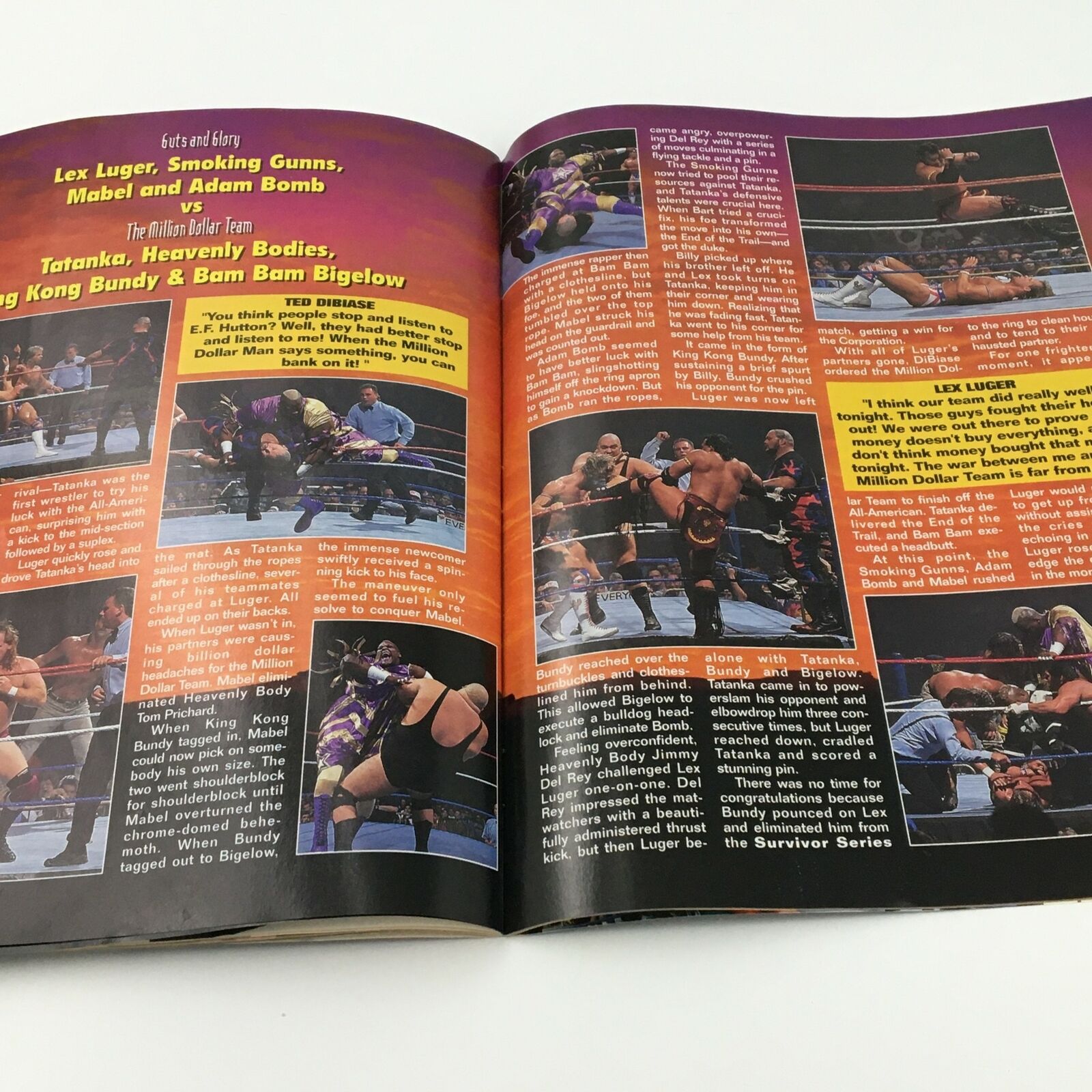 WWF Magazine February 1995 showcasing a wrestling recap with Lex Luger, Mabel, and other superstars at a pivotal match.