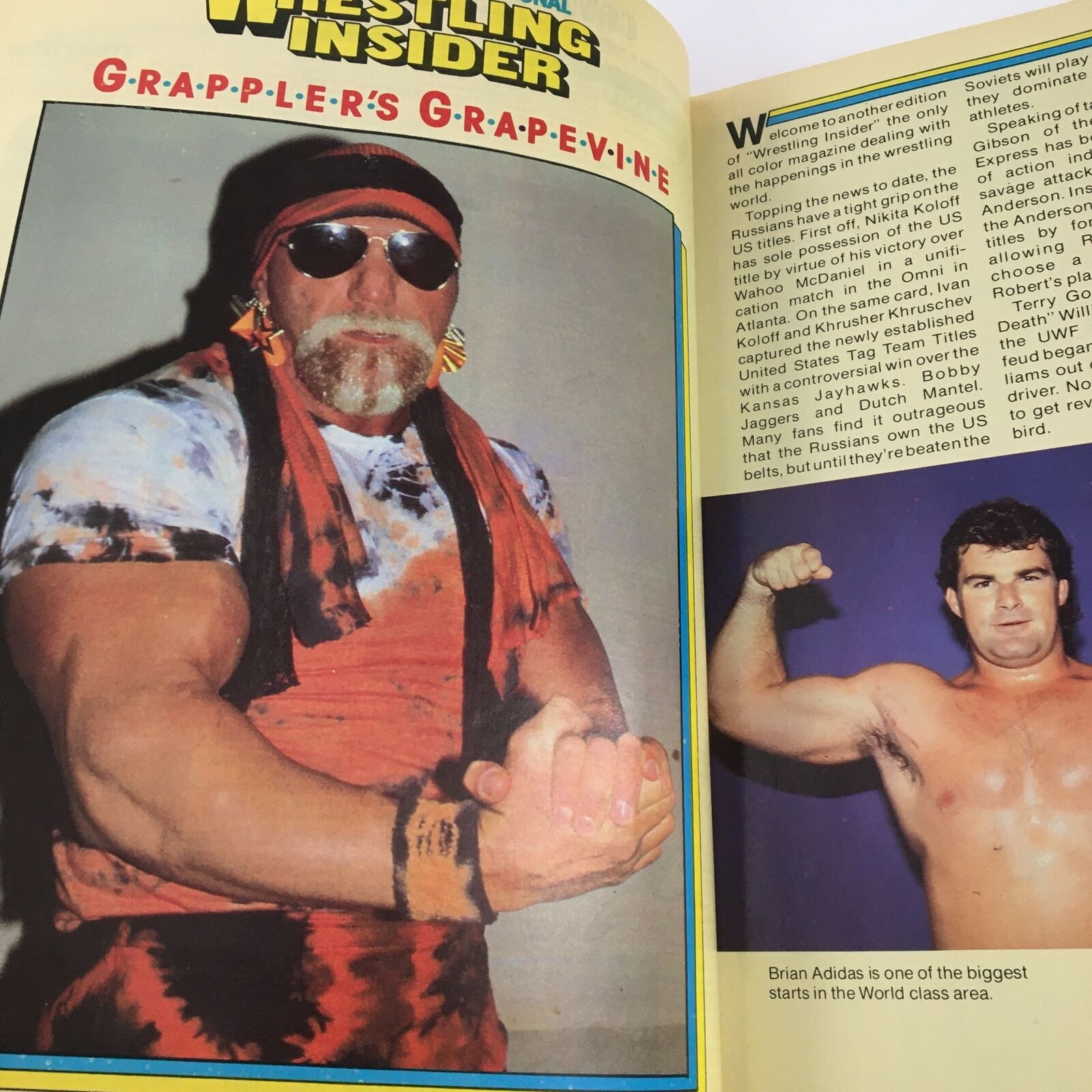 Wrestling Insider Magazine March 1987 Rick Martel Ted DiBiase No Label