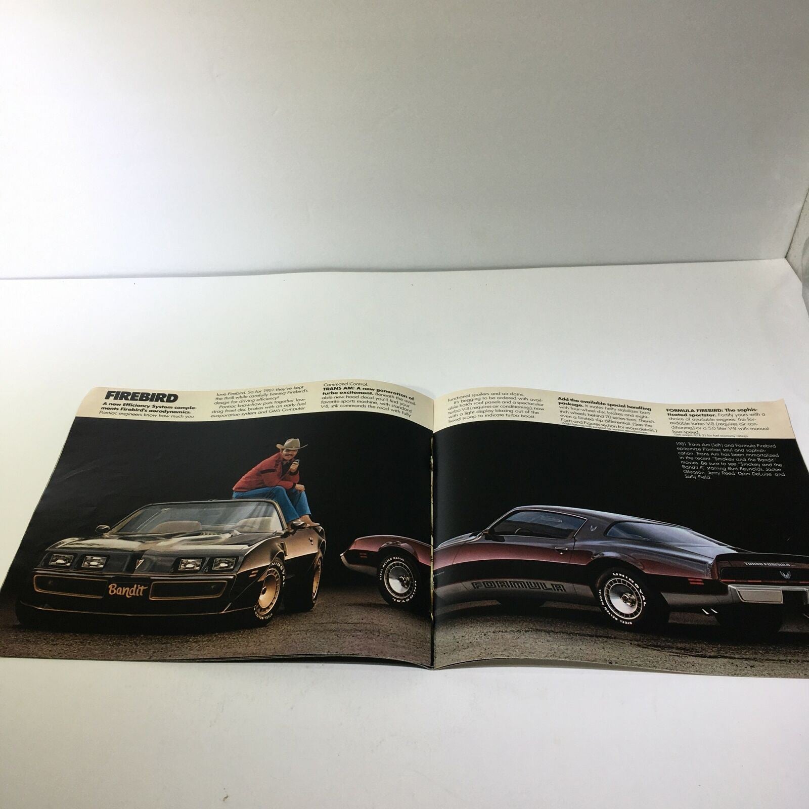 1981 Pontiac Sophistaced Firebird V-8 Engine 4-Speed Manual Car Sale Brochure