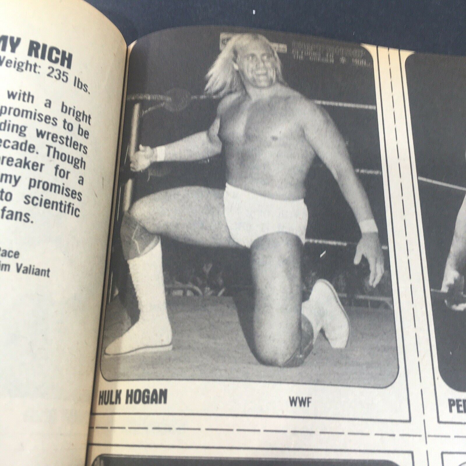 VTG Wrestling Superstars Magazine Summer 1981 - Hulk Hogan / Mil Mascaras