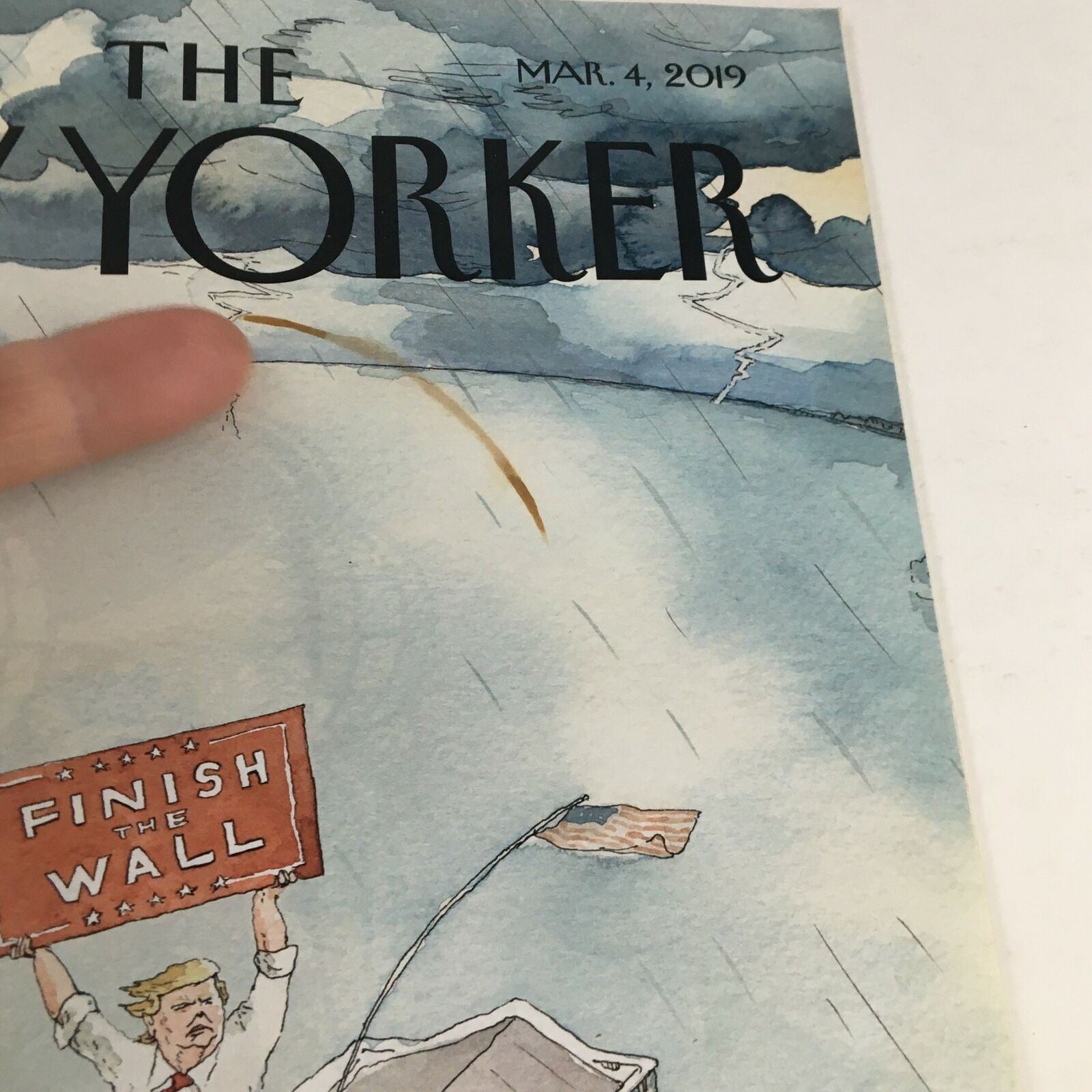 The New Yorker Full Magazine March 4 2019 The Real Emergency by Barry Blitt