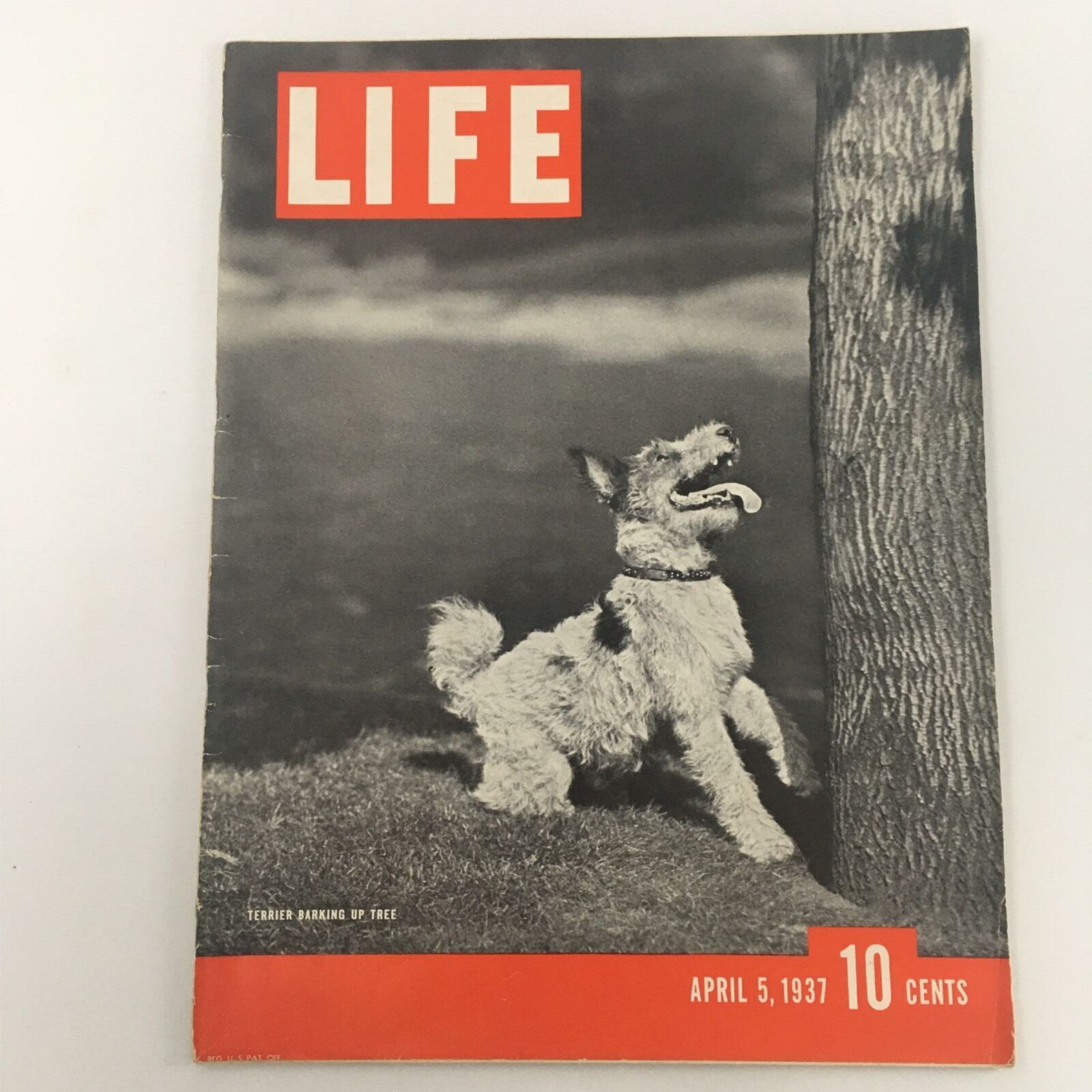 VTG Life Magazine April 5, 1937 Terrier, Kaplan and Kobrinsky Newsstand