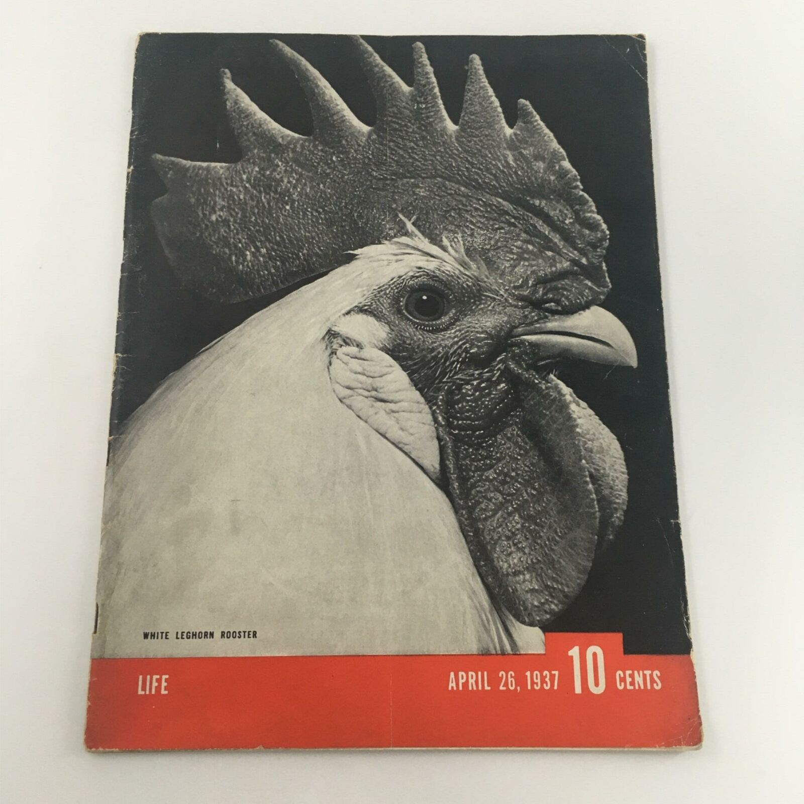 VTG Life Magazine April 26, 1937 White Leghorn Rooster