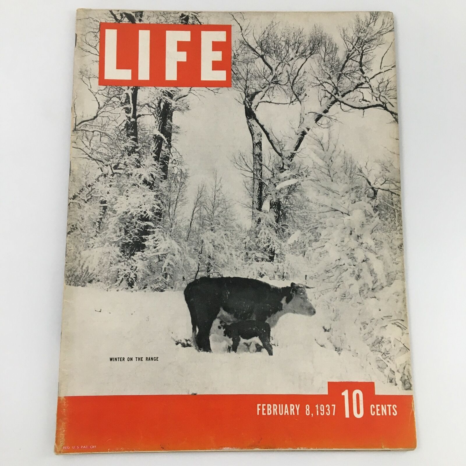 VTG Life Magazine February 8 1937 Winter on the Range Feature