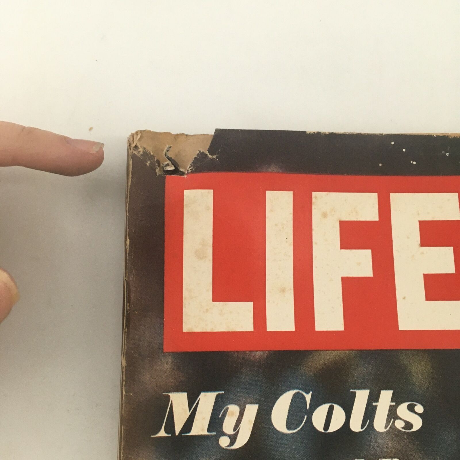 VTG Life Magazine December 13 1968 Dennis Gaubatz, My Colts by Ogden Nash